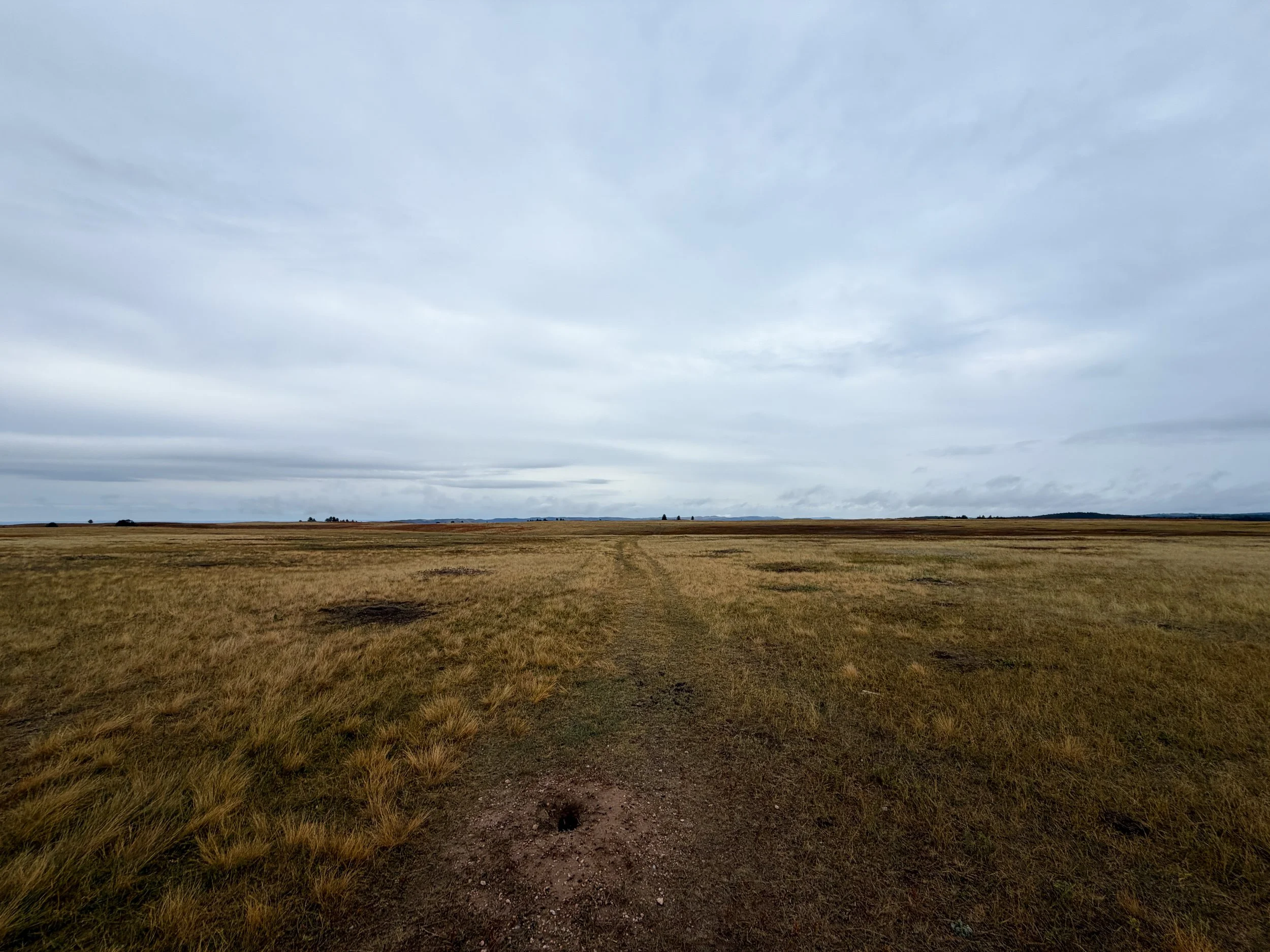 Highland Creek Trail Wind Cave National Park South Dakota