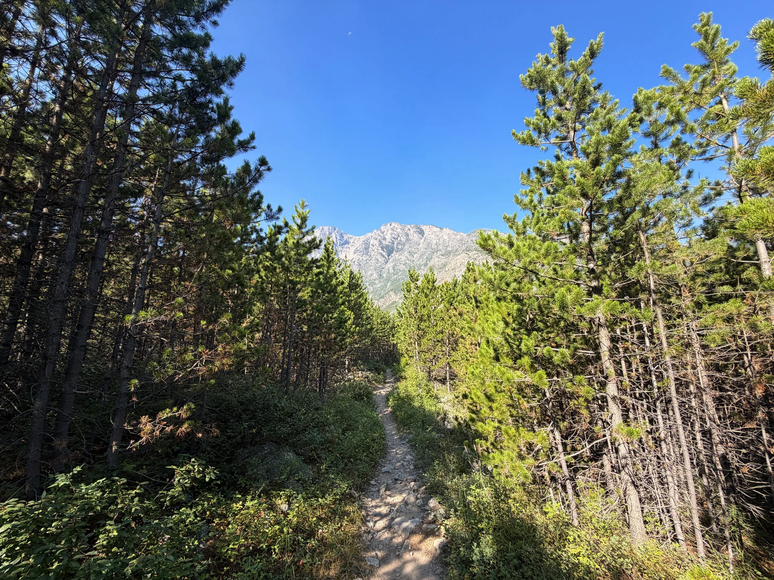 East Rosebud Trail Beartooth Mountains Montana