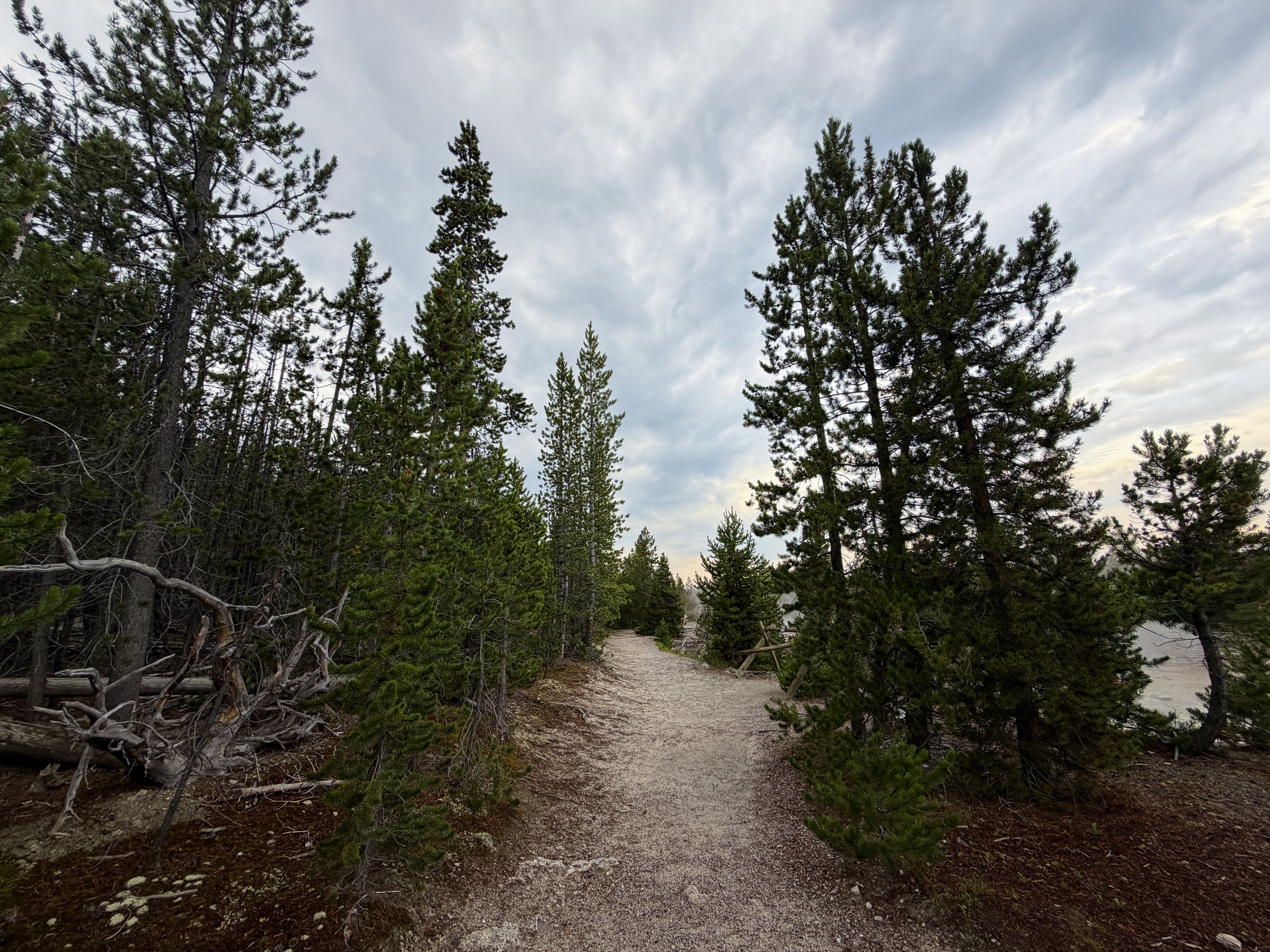 Norris Geyser Basin Hike Yellowstone National Park Wyoming