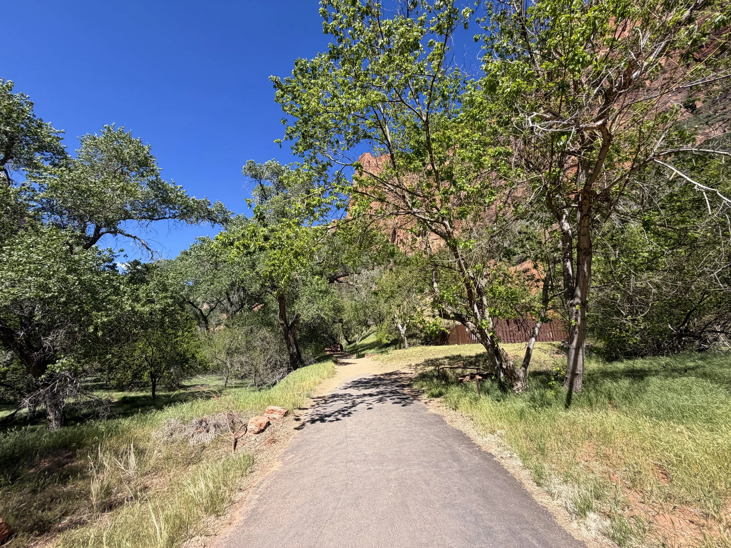 Grotto Trail Zion National Park Utah