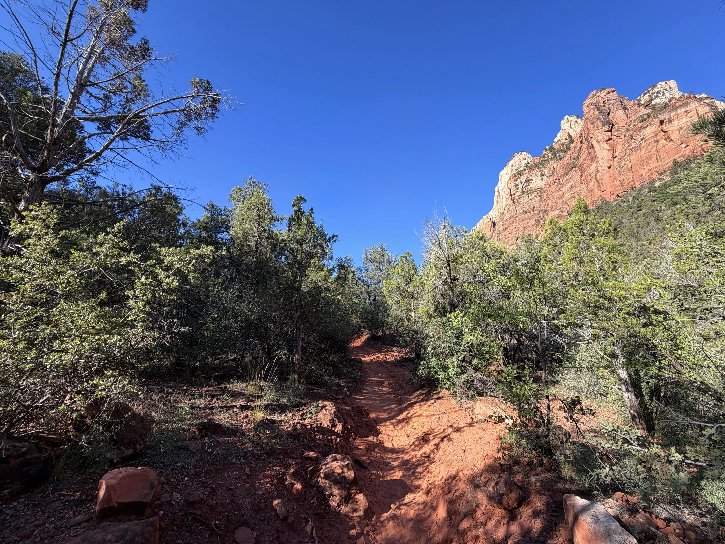 Sand Bench Loop Trail Zion National Park Utah