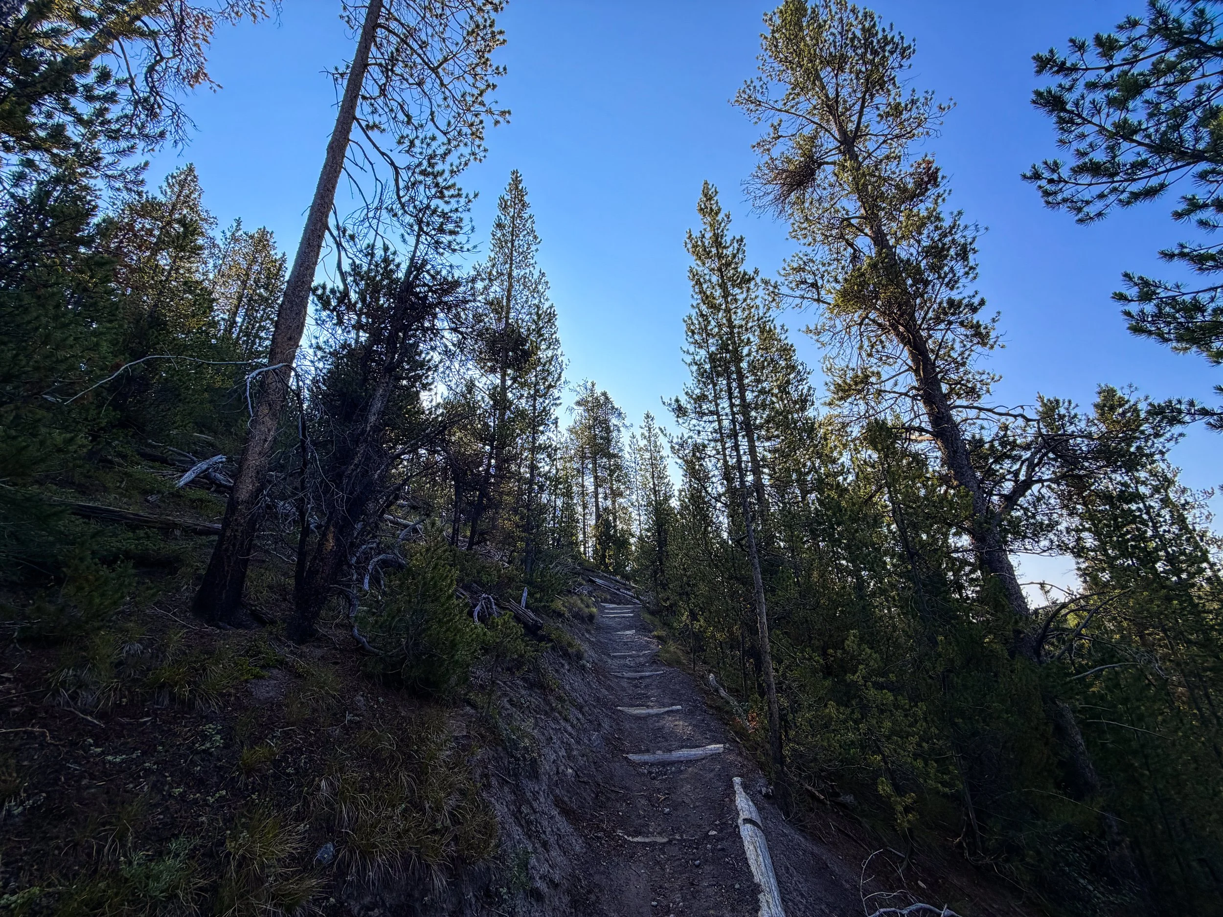 Natural Bridge Trail Yellowstone National Park Wyoming
