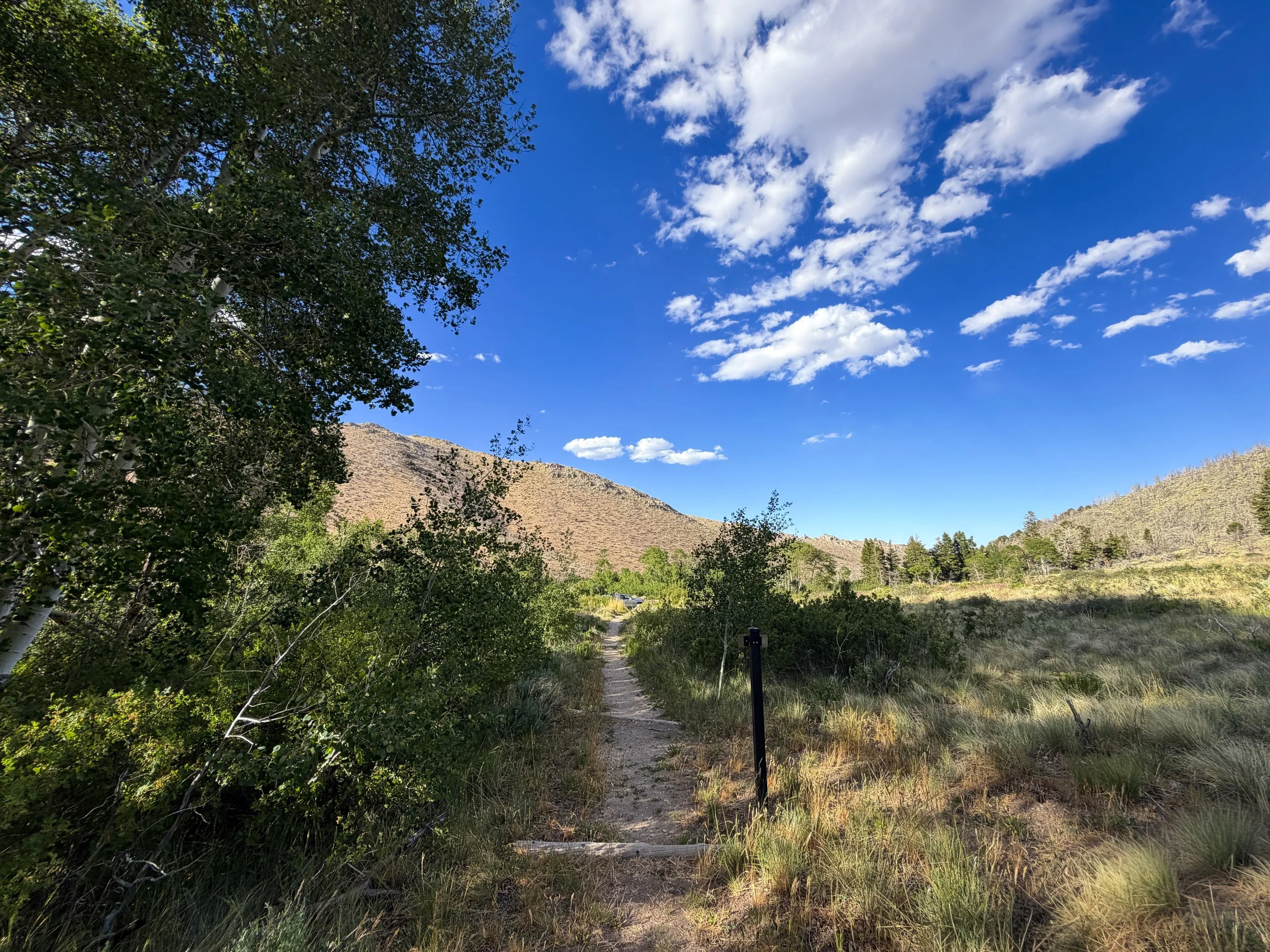Sage Steppe Loop Trail Great Basin National Park Nevada