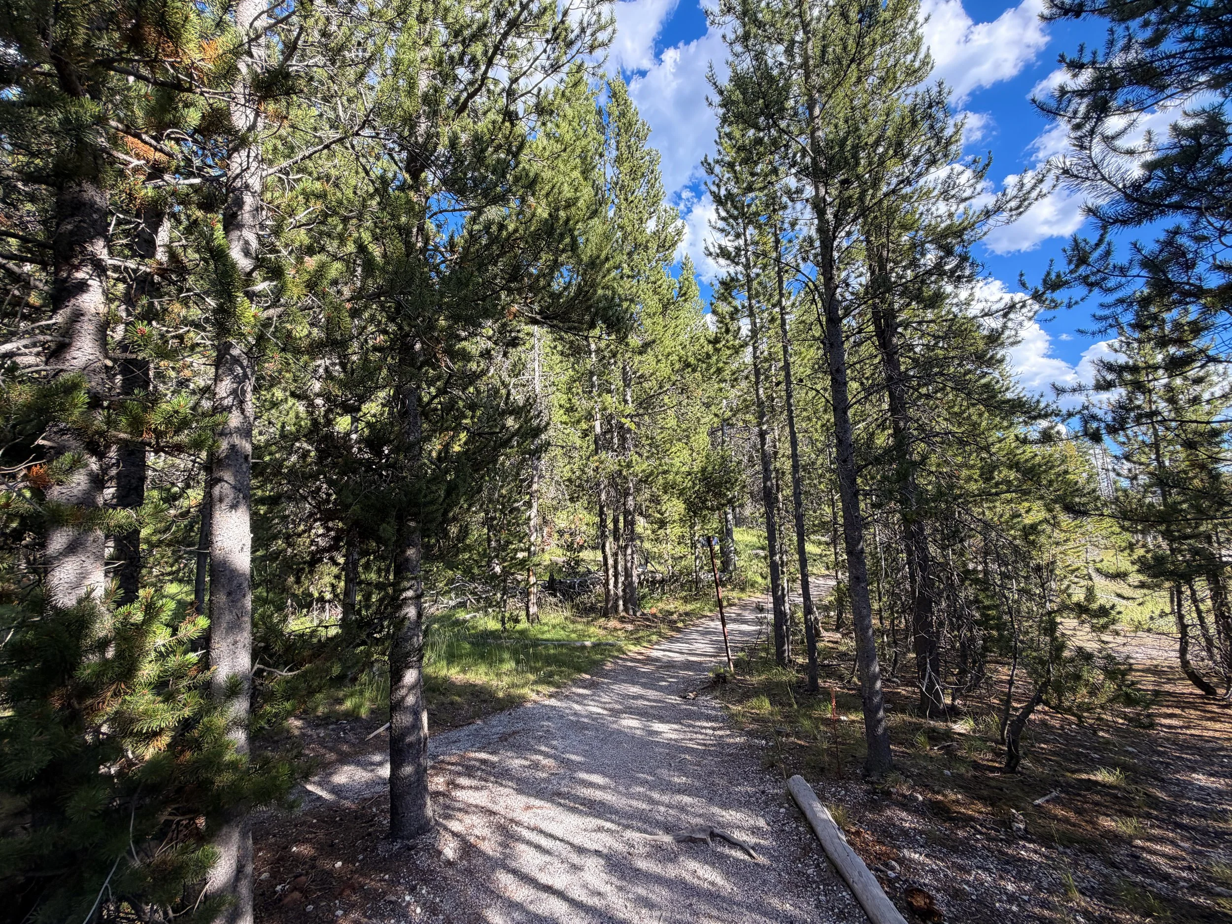 Artemisia Trail Yellowstone National Park Wyoming