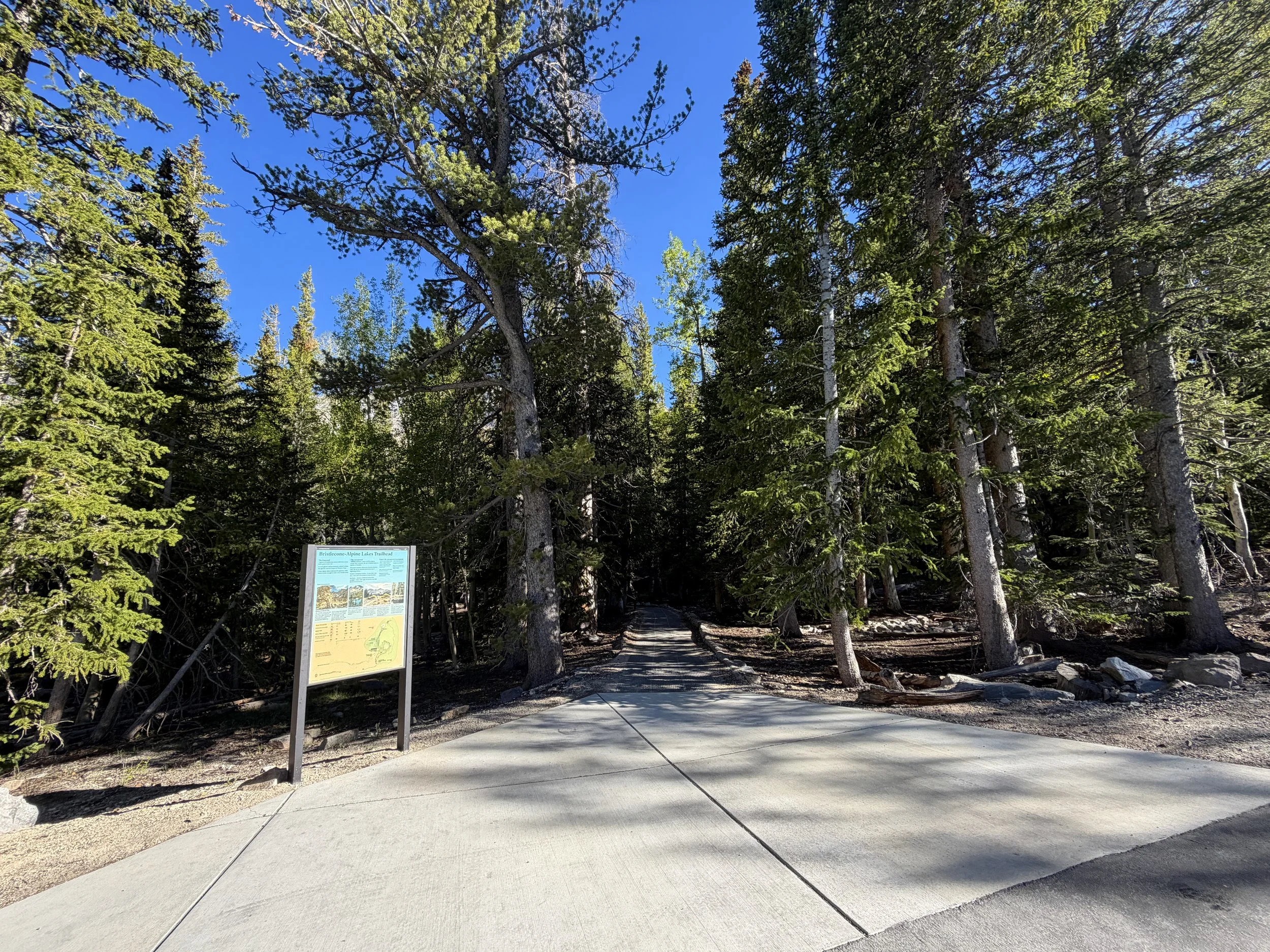 Sky Island Forest Trailhead Great Basin National Park Nevada