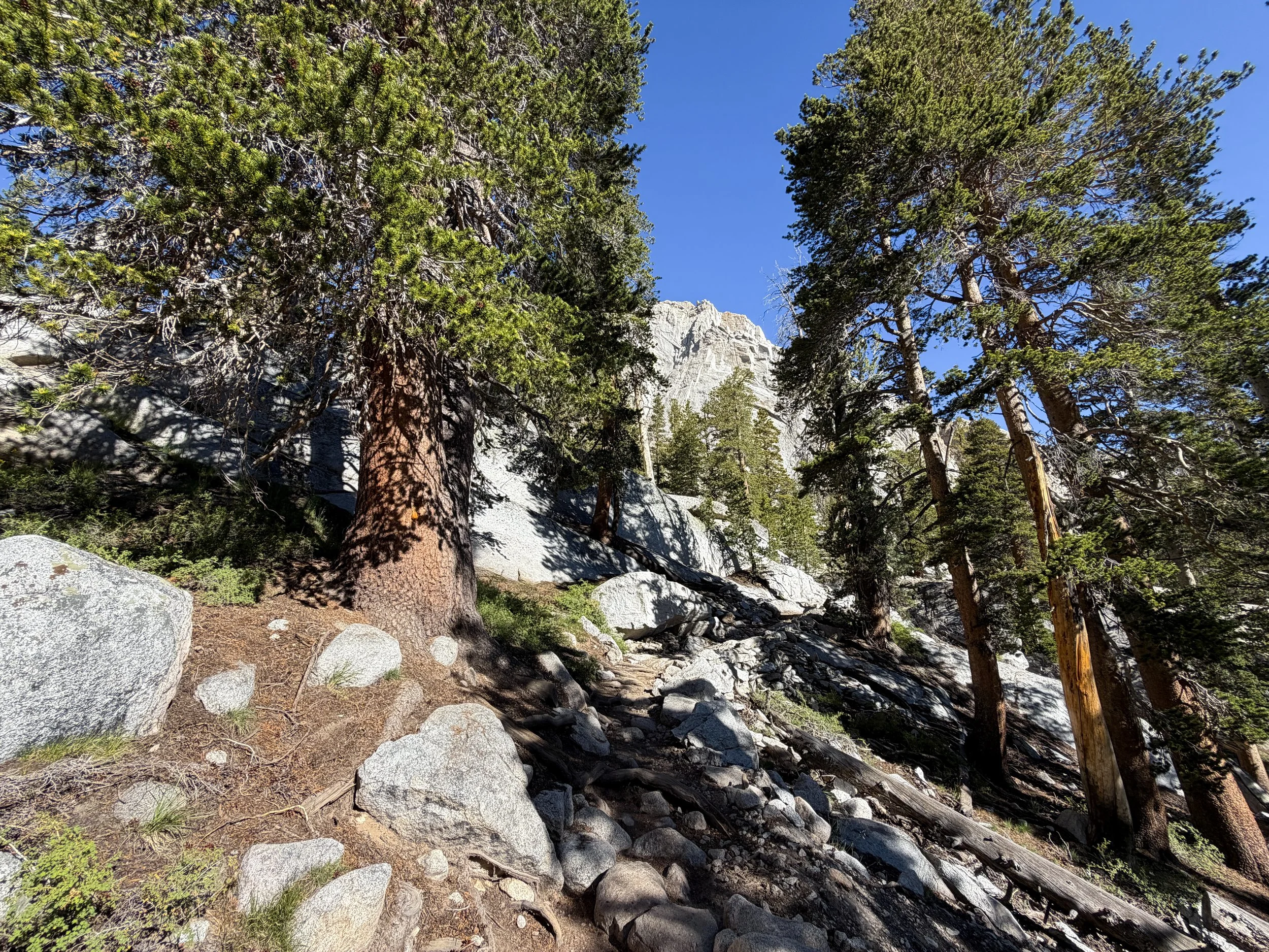 Mount Whitney Trail California