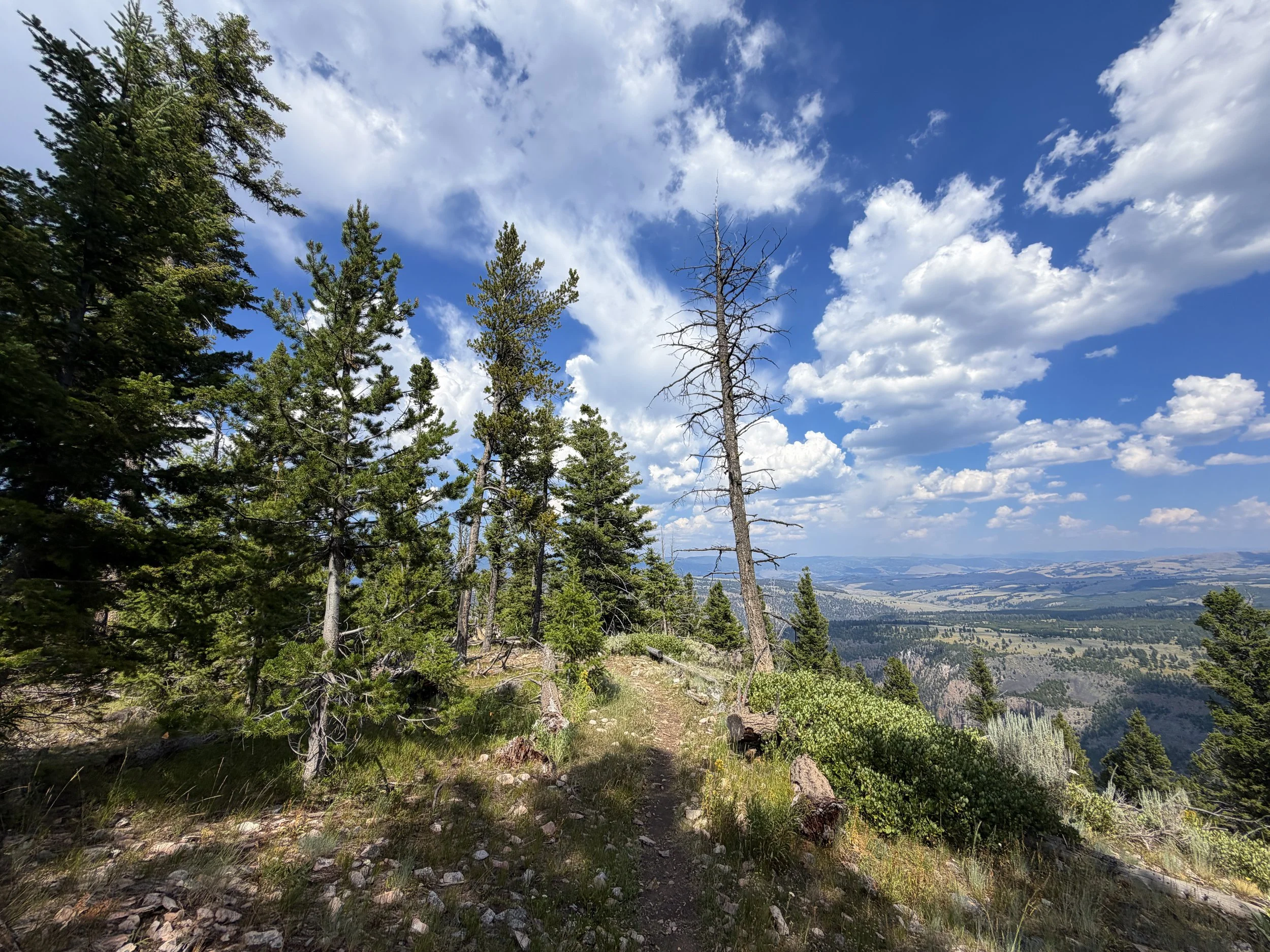 Bunsen Peak Trail Yellowstone National Park Wyoming