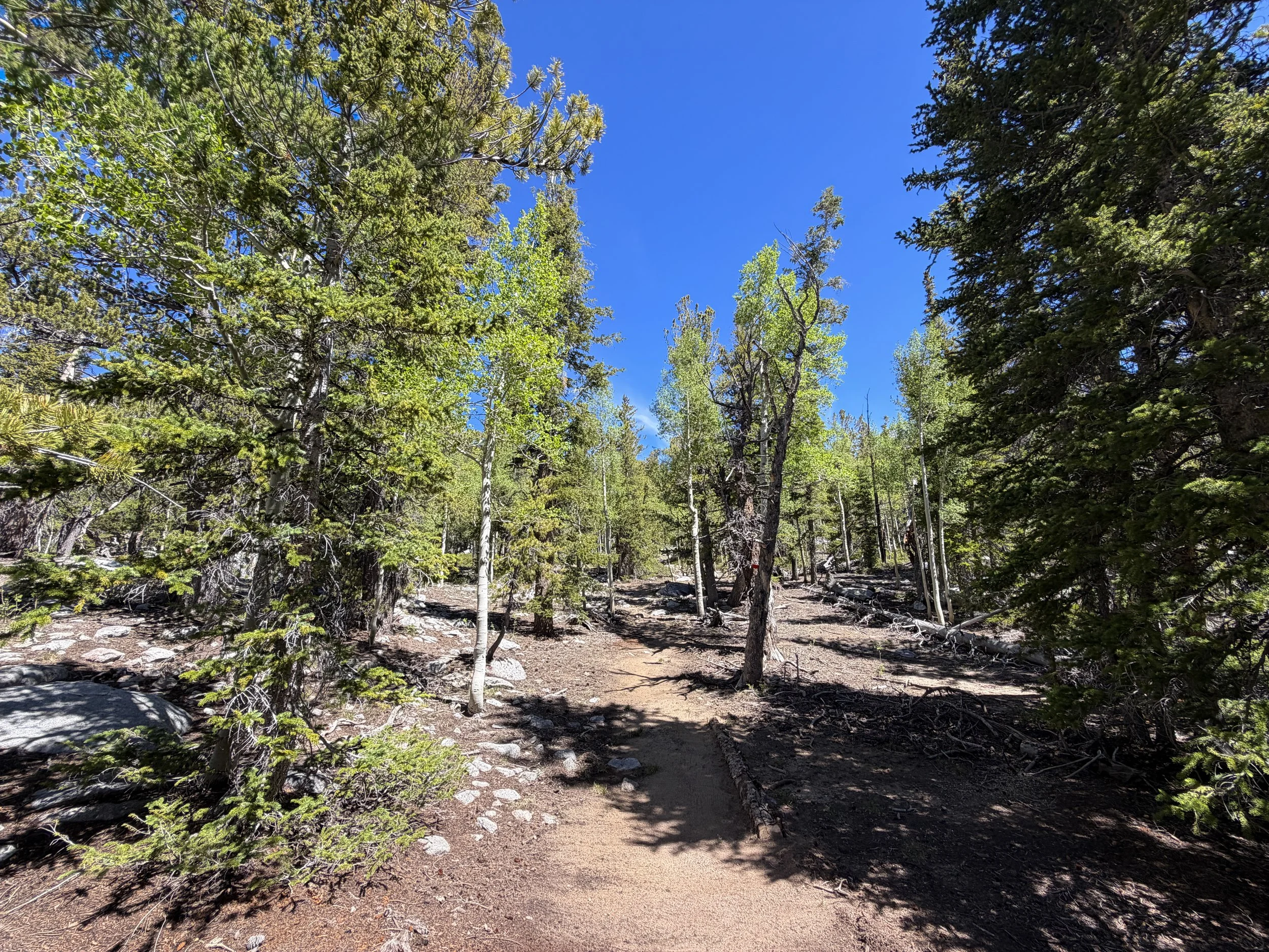 Dead Lake Trail Great Basin National Park Nevada