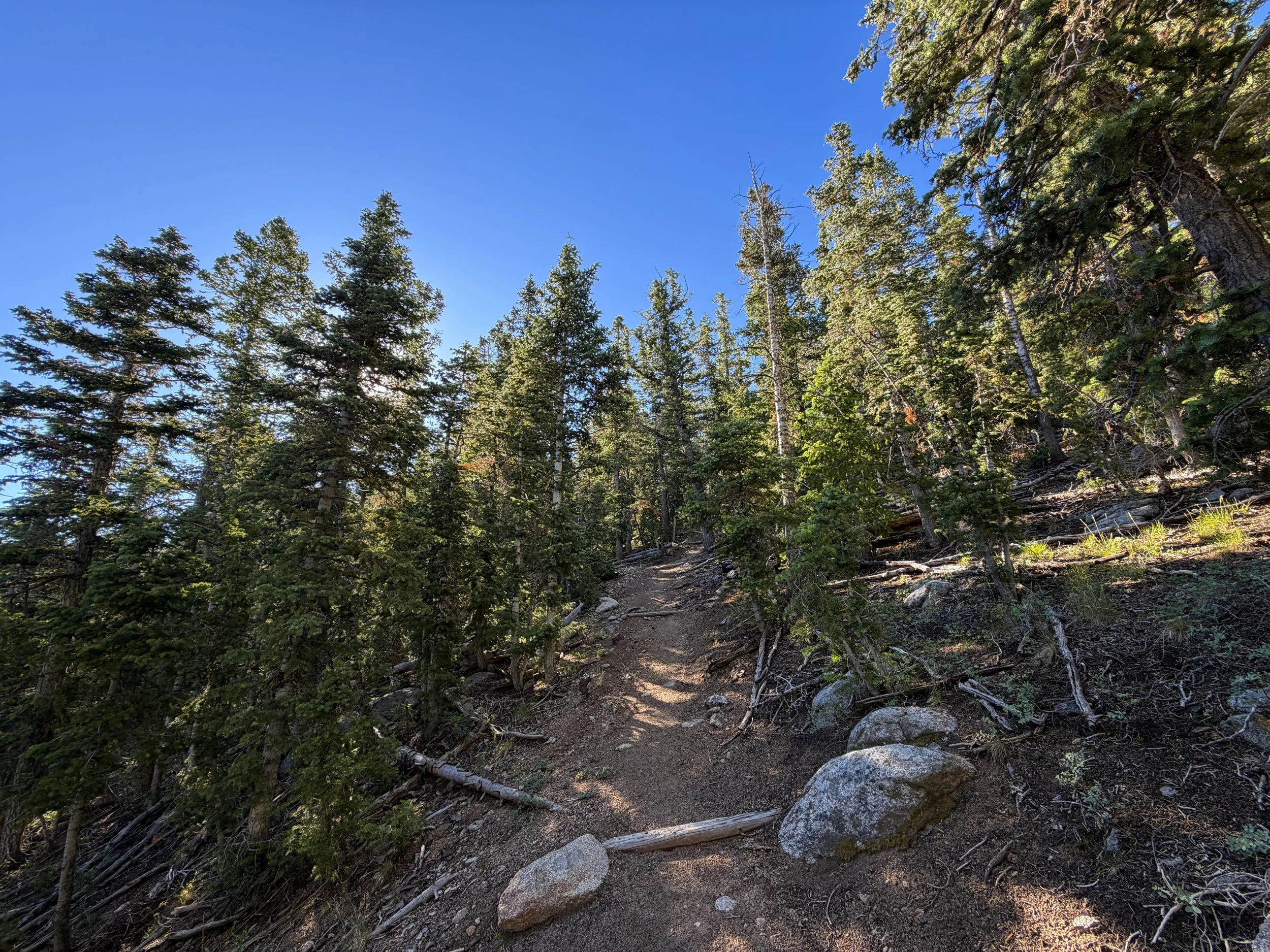 Snake Divide Trail Great Basin National Park Nevada