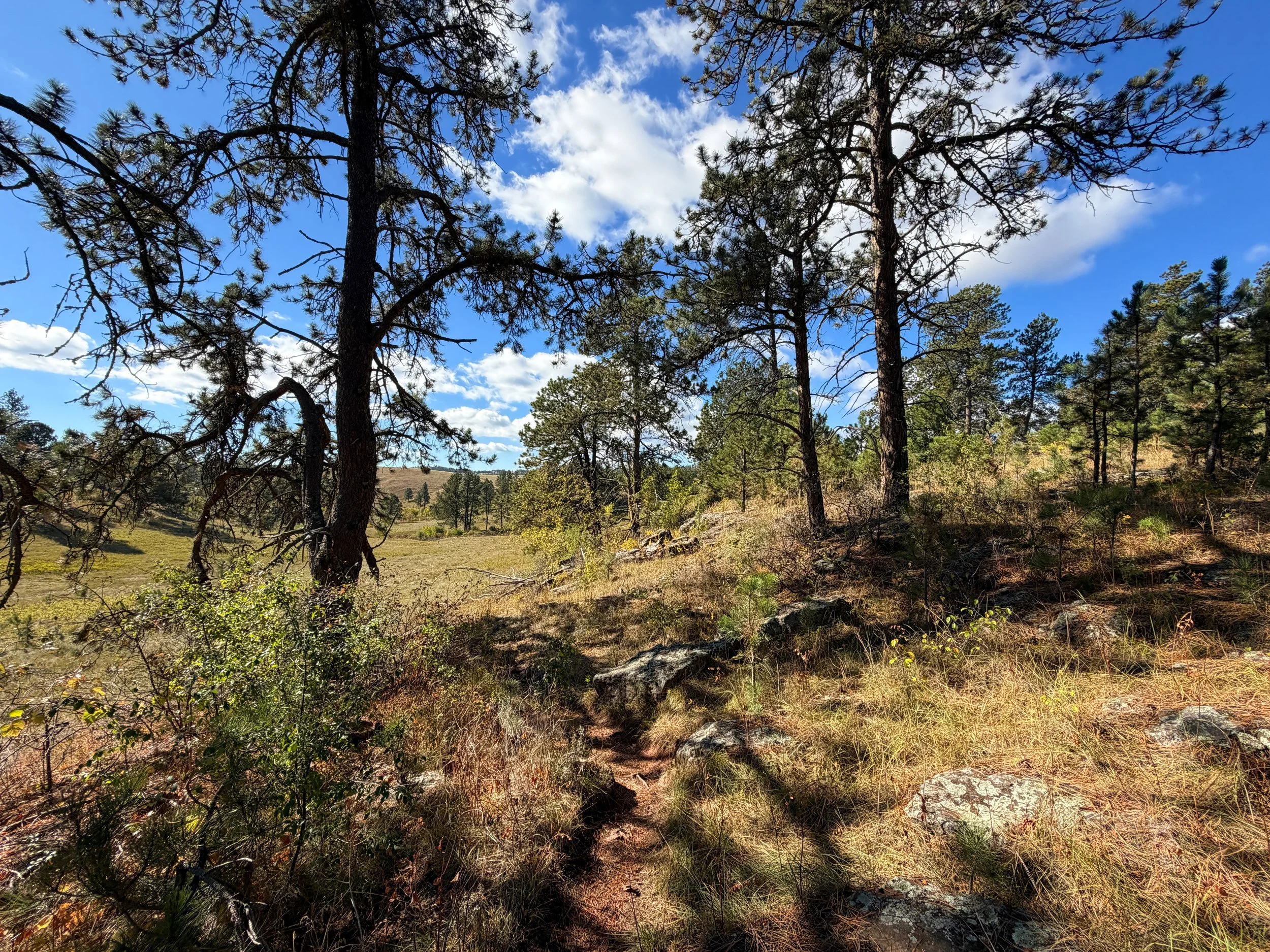 Lookout Point Loop Trail Wind Cave National Park South Dakota