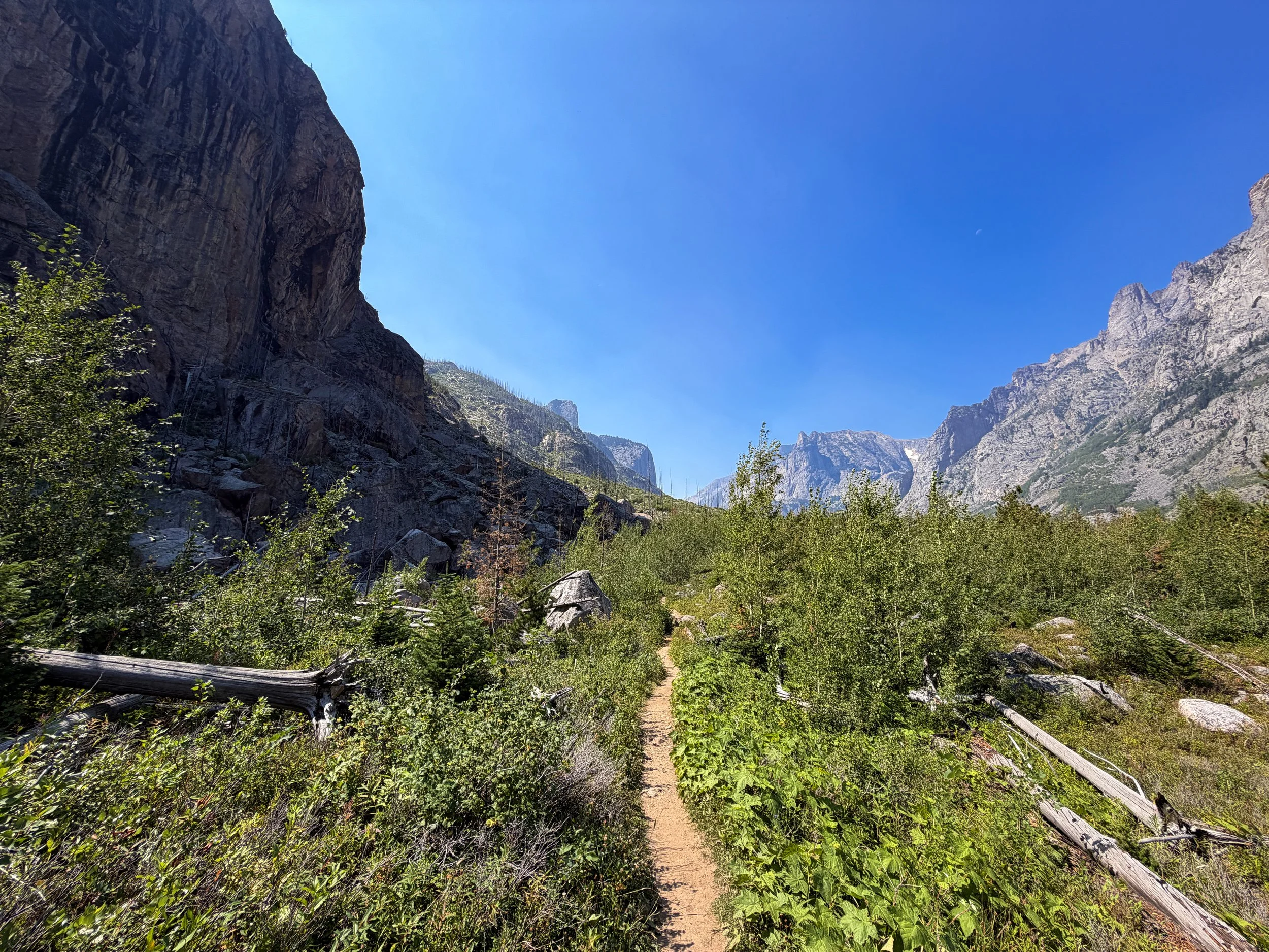 Beaten Path Hike Beartooth Mountains Montana