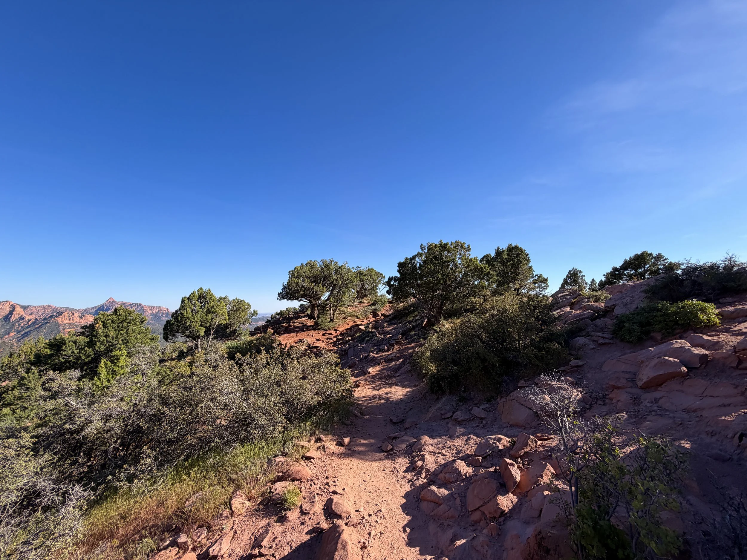Timber Creek Overlook Trail Zion National Park Utah