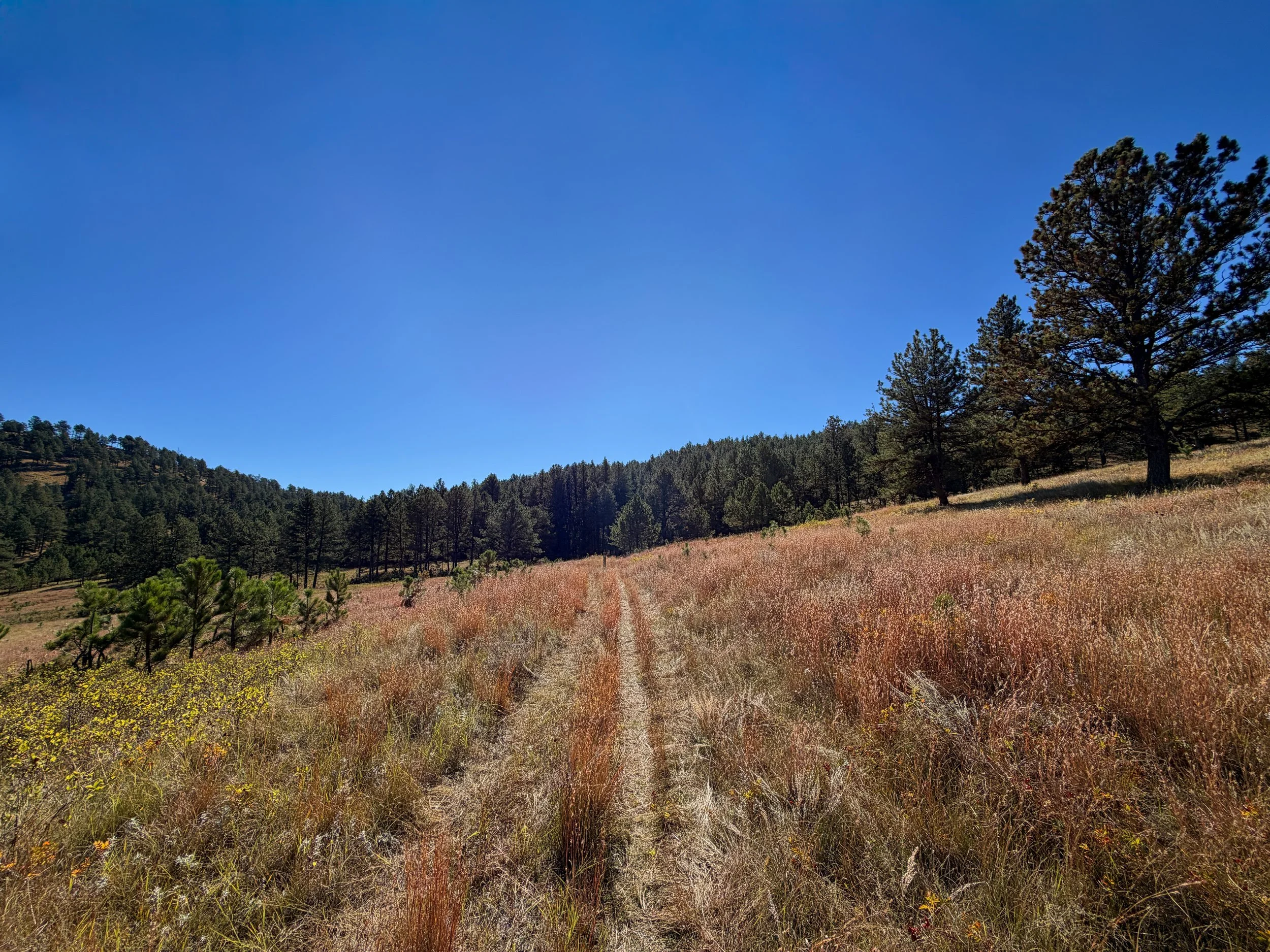Sanctuary Hike Wind Cave National Park South Dakota