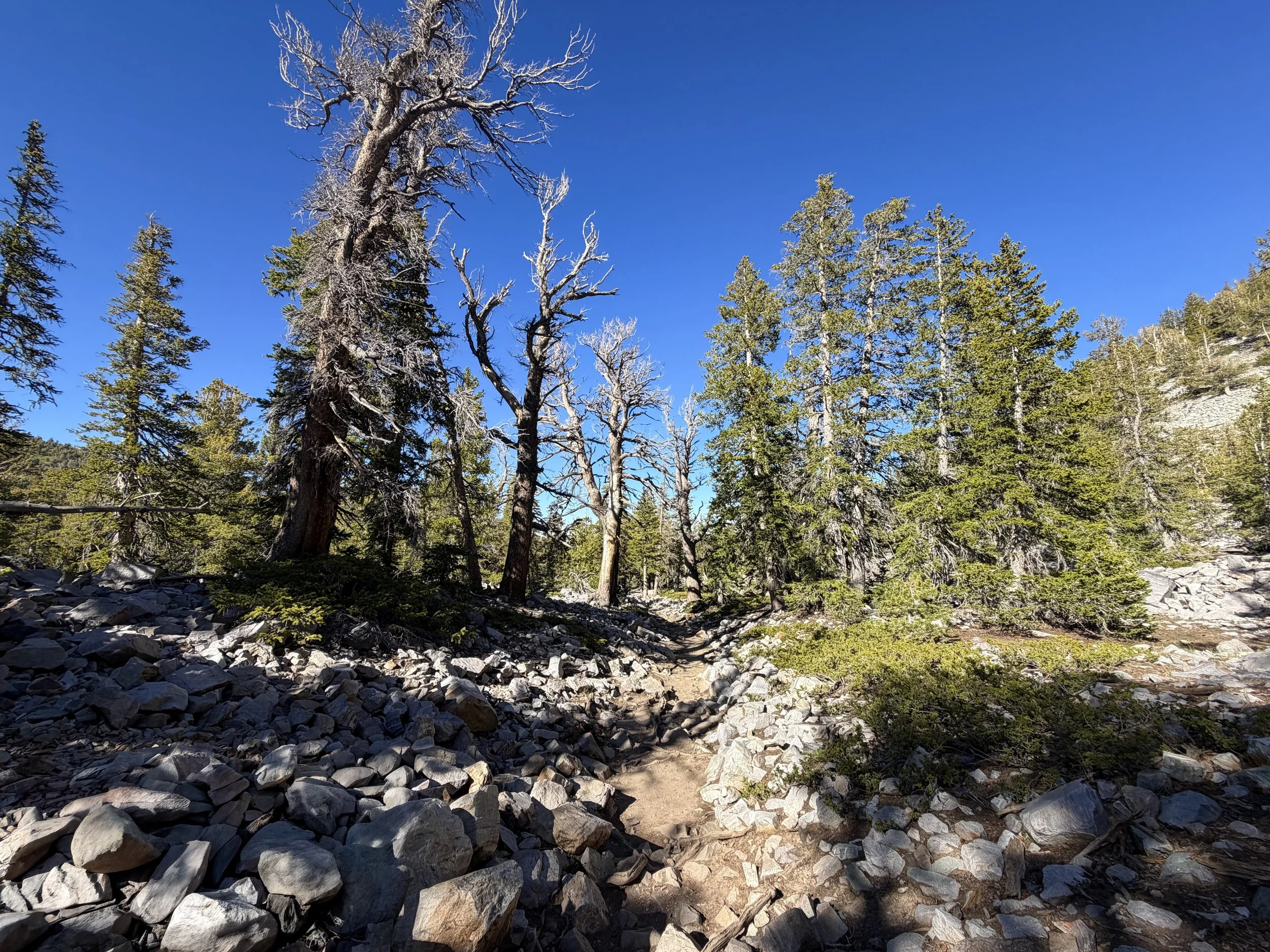 Alpine Lakes Loop Trail Great Basin National Park Nevada