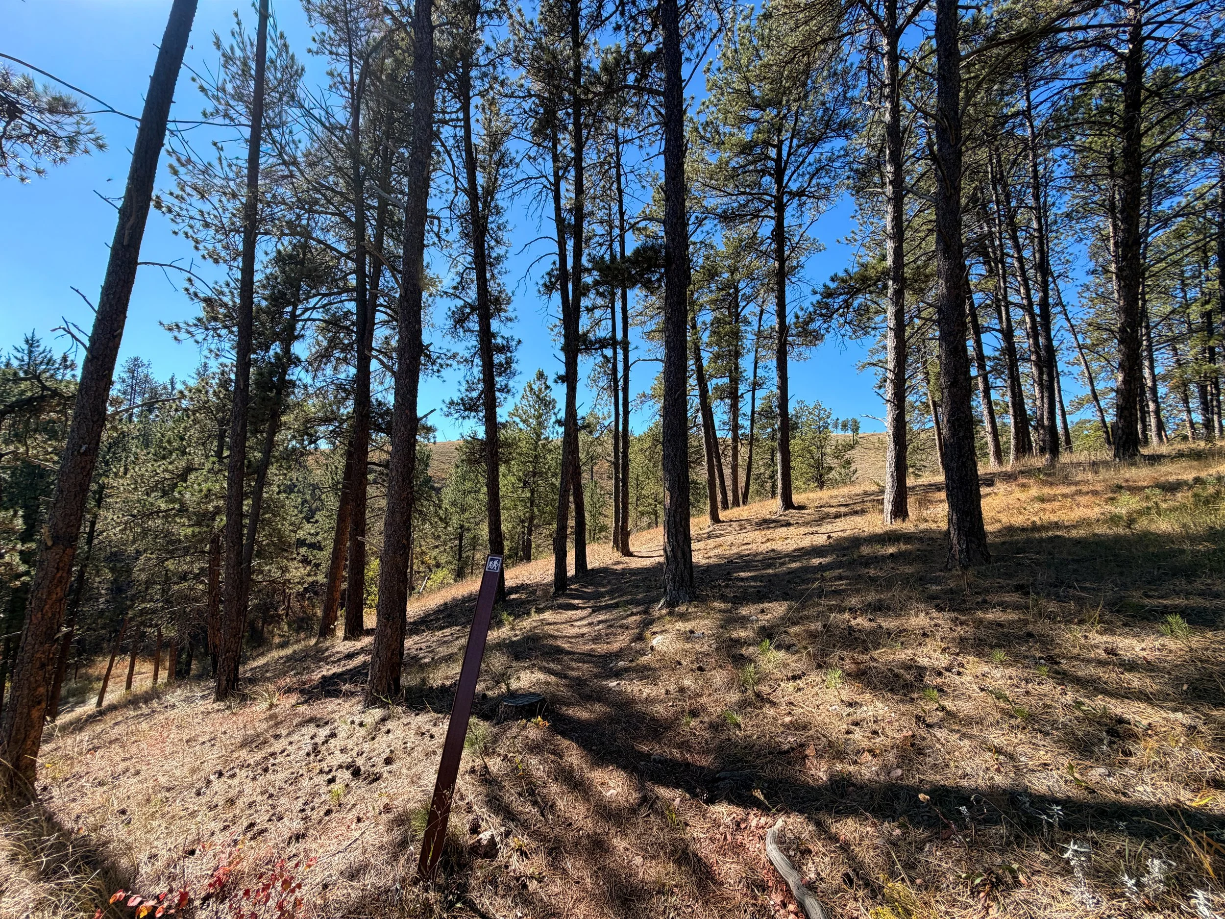 Elk Mountain Campground Trail Wind Cave National Park South Dakota