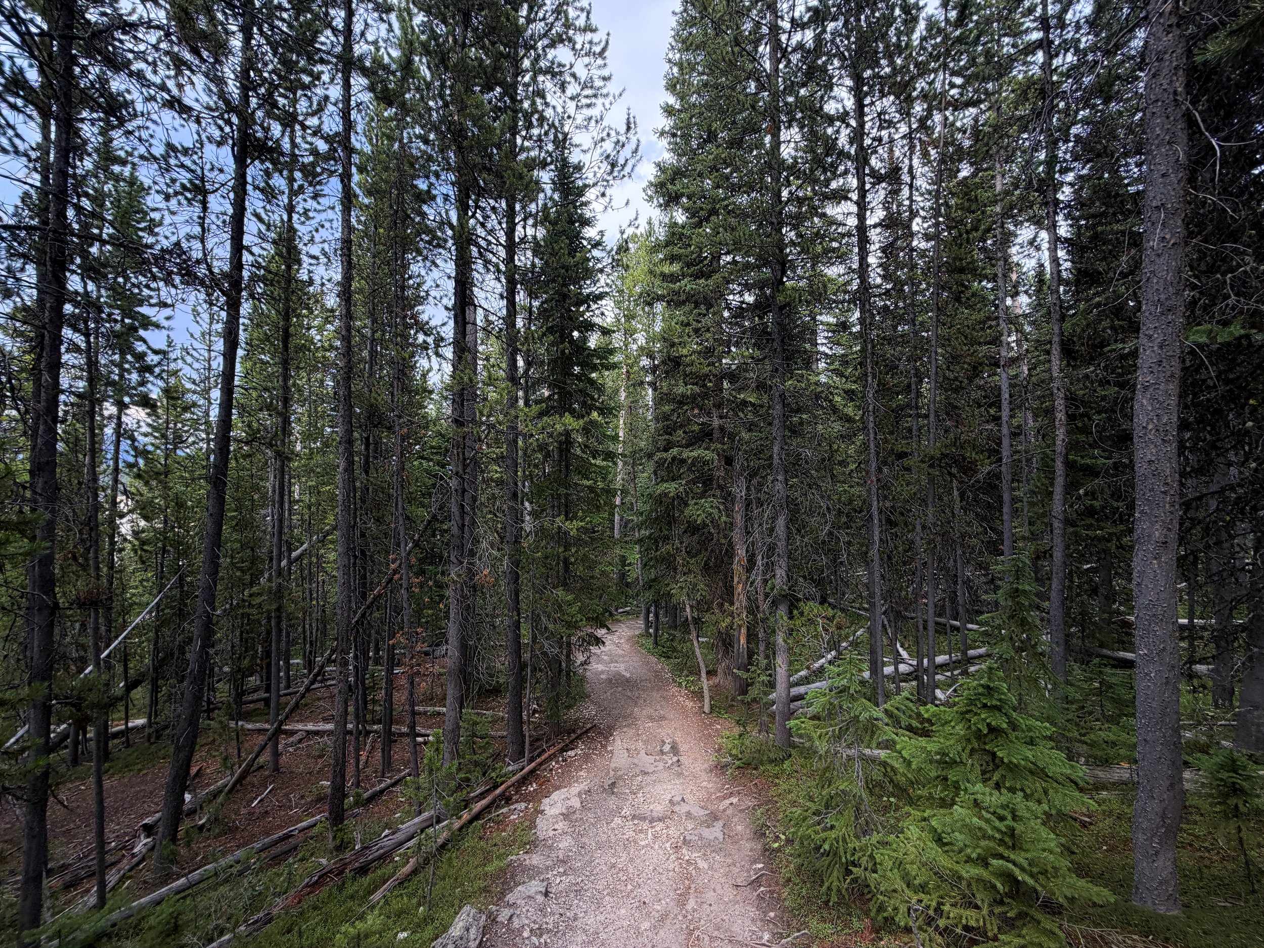 South Rim Trail Yellowstone National Park Wyoming