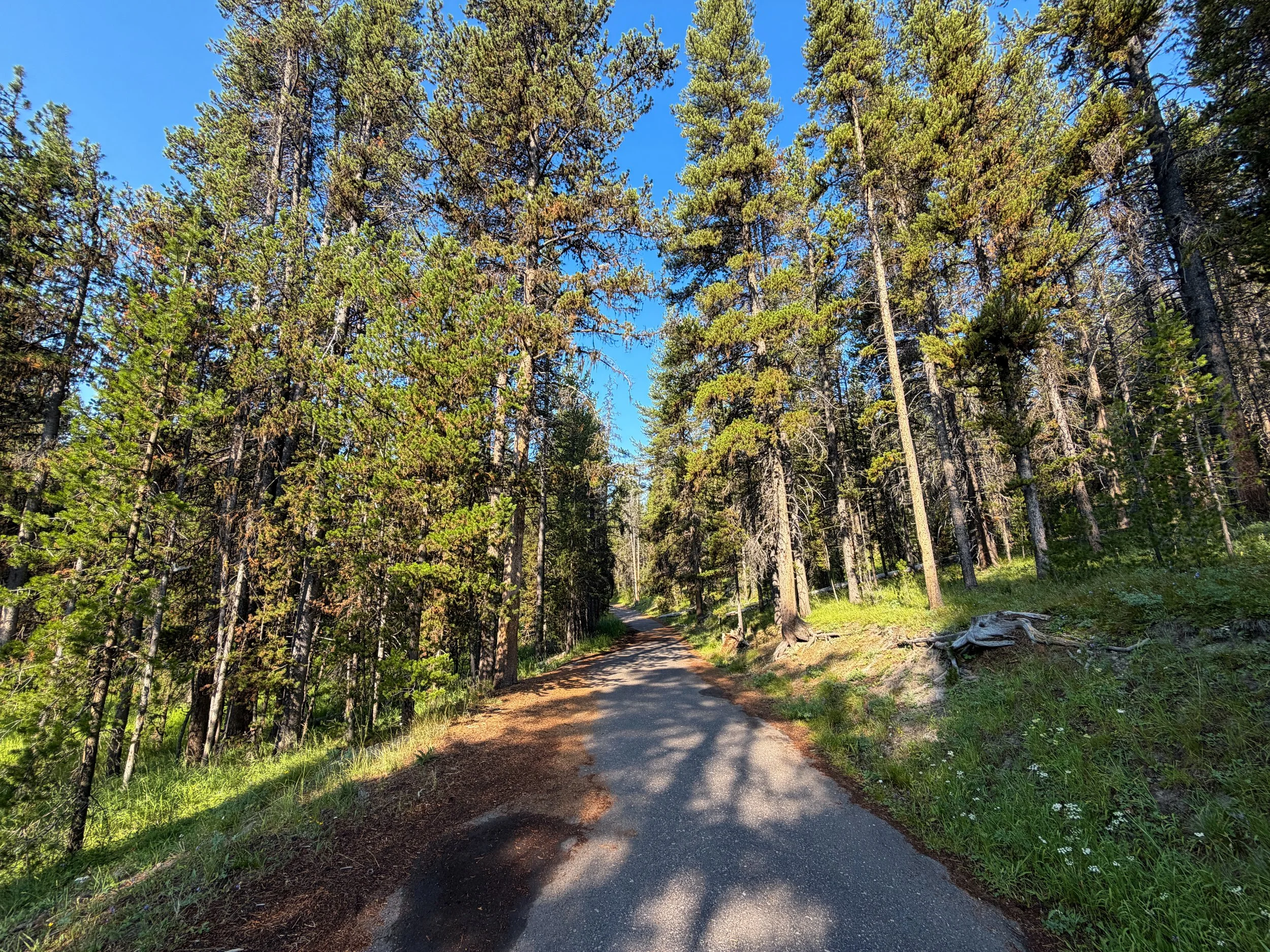 Natural Bridge Hike Yellowstone National Park Wyoming