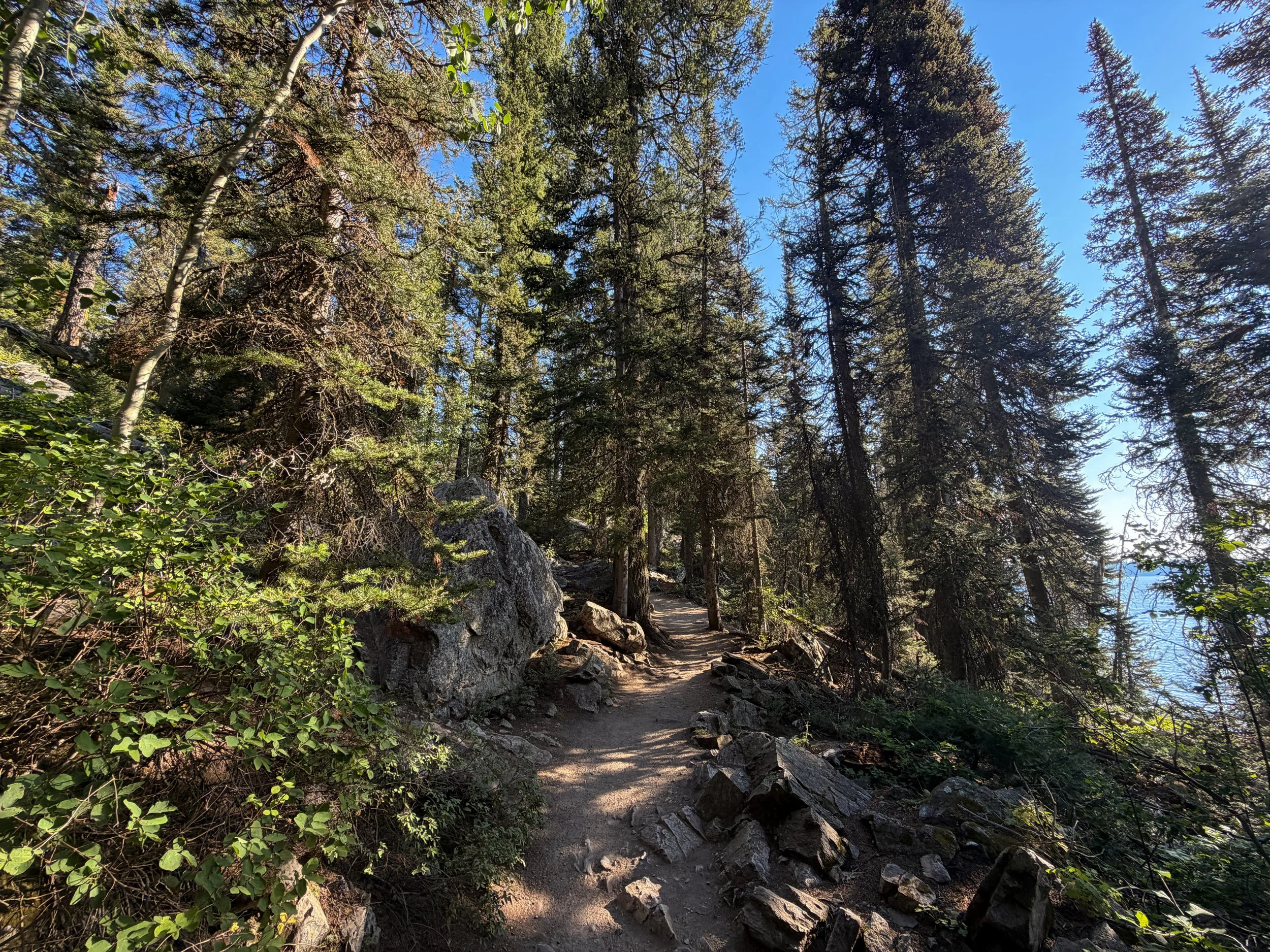Jenny Lake Trail to Hidden Falls Grand Teton National Park Wyoming