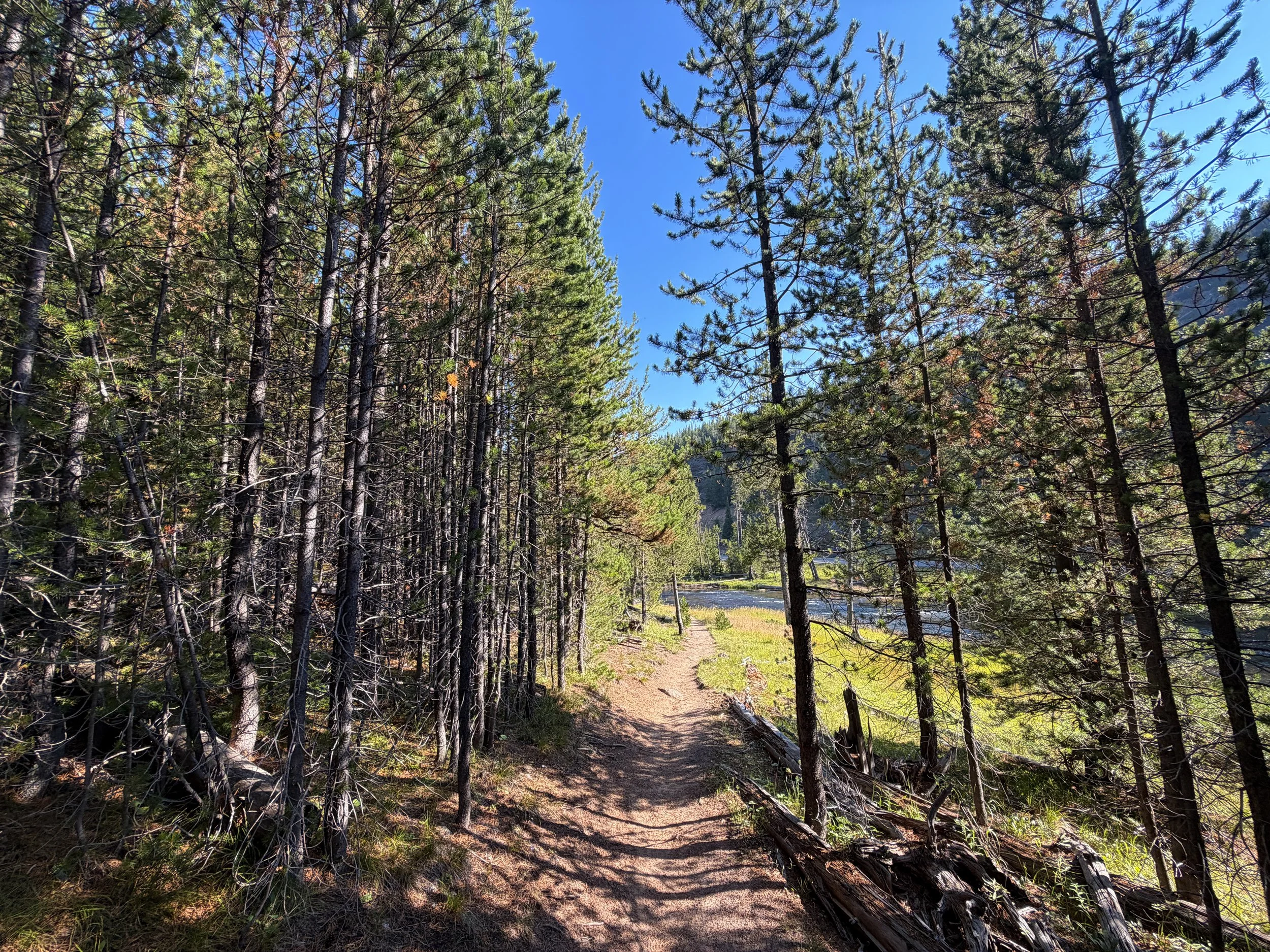 Monument Geyser Basin Trail Yellowstone National Park Wyoming