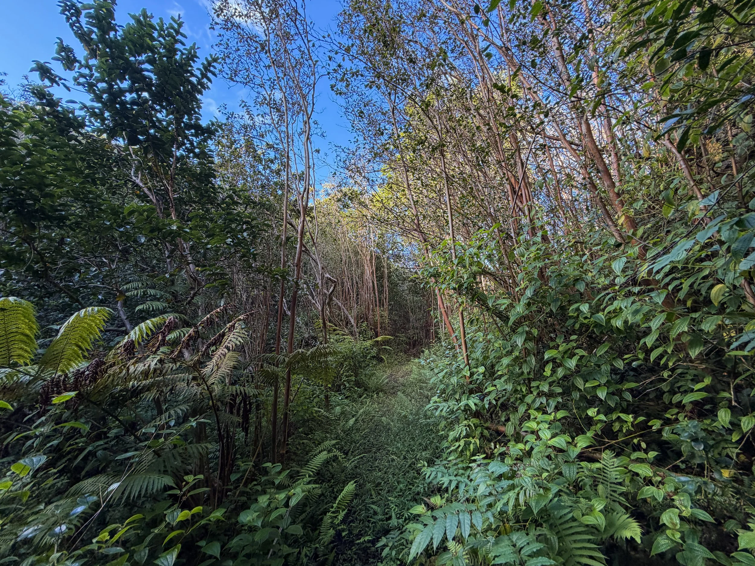 Mokuleia Hike Oahu Hawaii