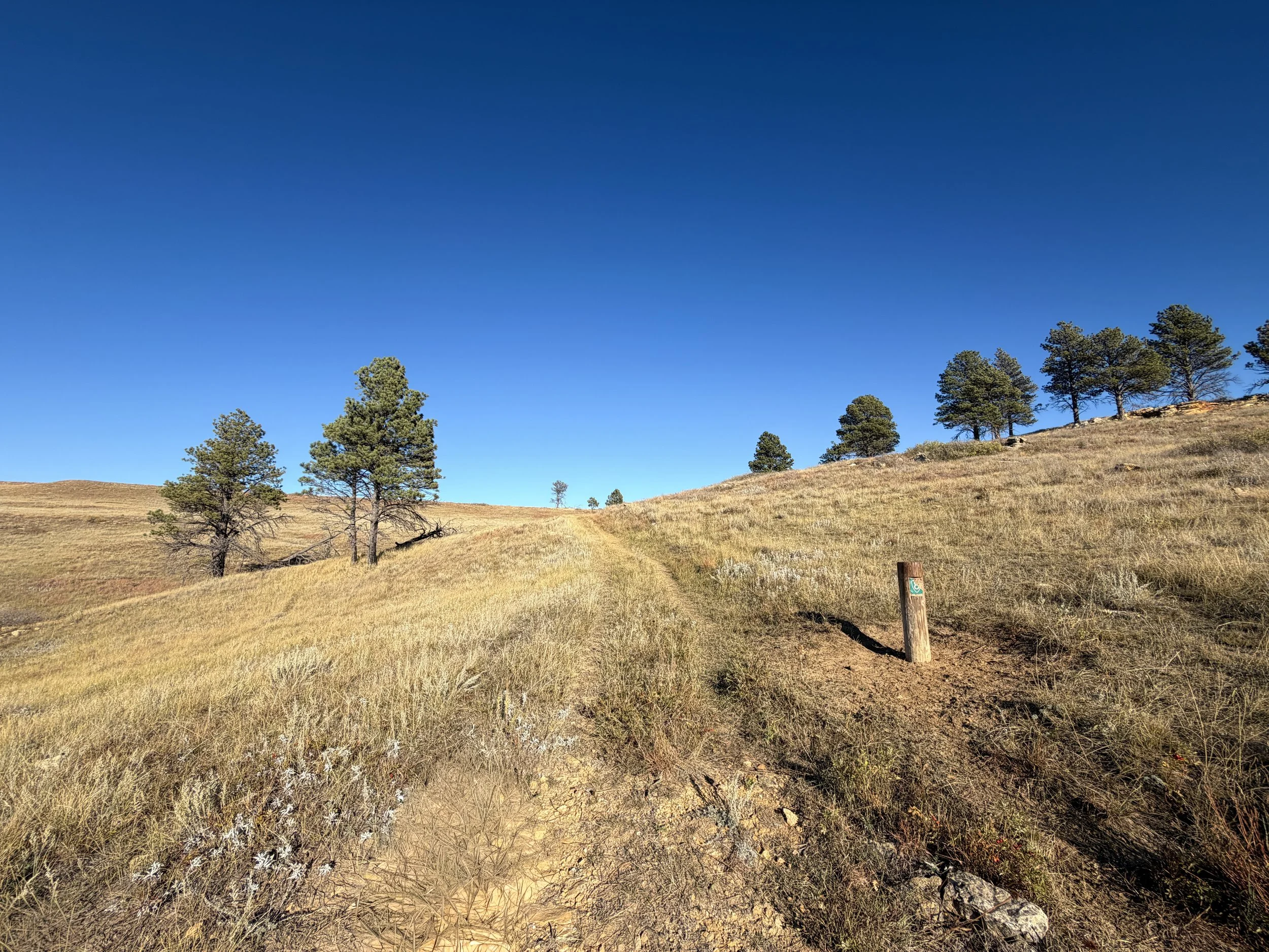 Boland Ridge Hike Wind Cave National Park South Dakota