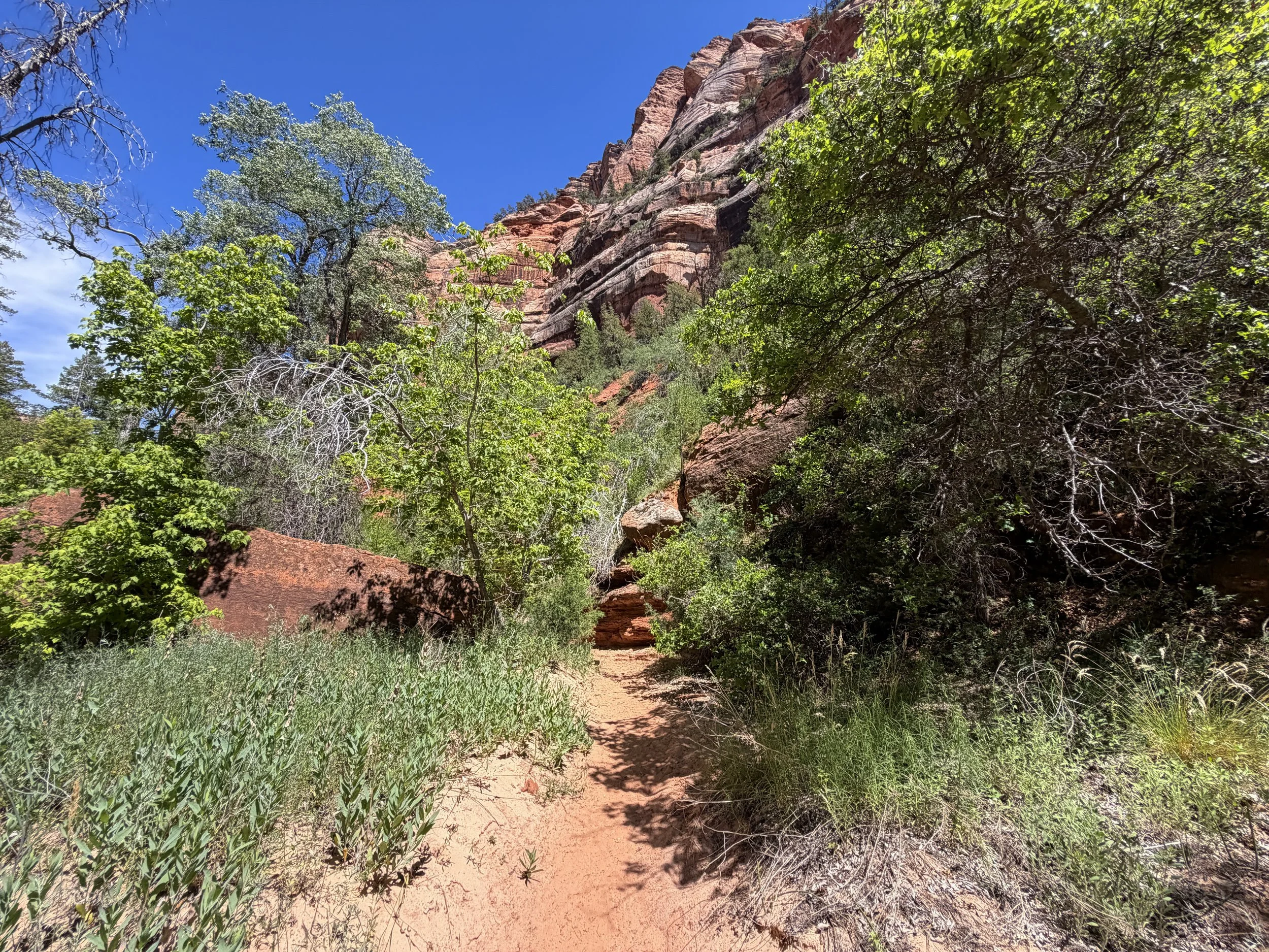 Left Fork North Creek Trail to the Subway Zion National Park Utah