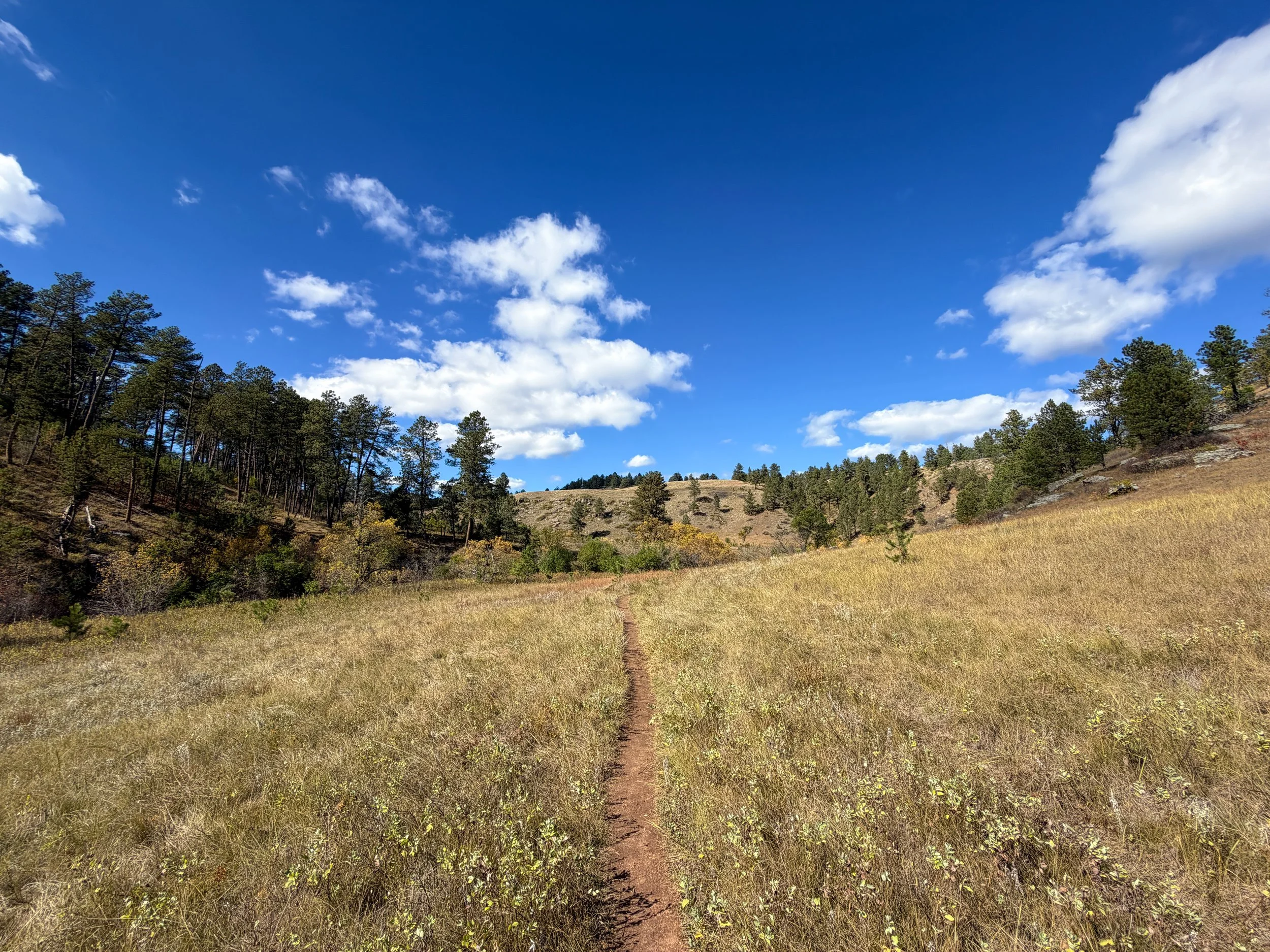 Lookout Point Loop Trail Wind Cave National Park South Dakota