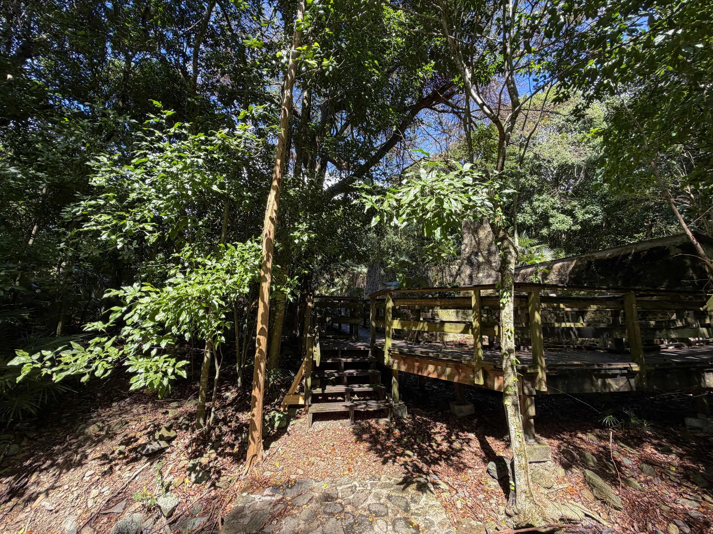 Cinnamon Bay Loop Trail Virgin Islands National Park