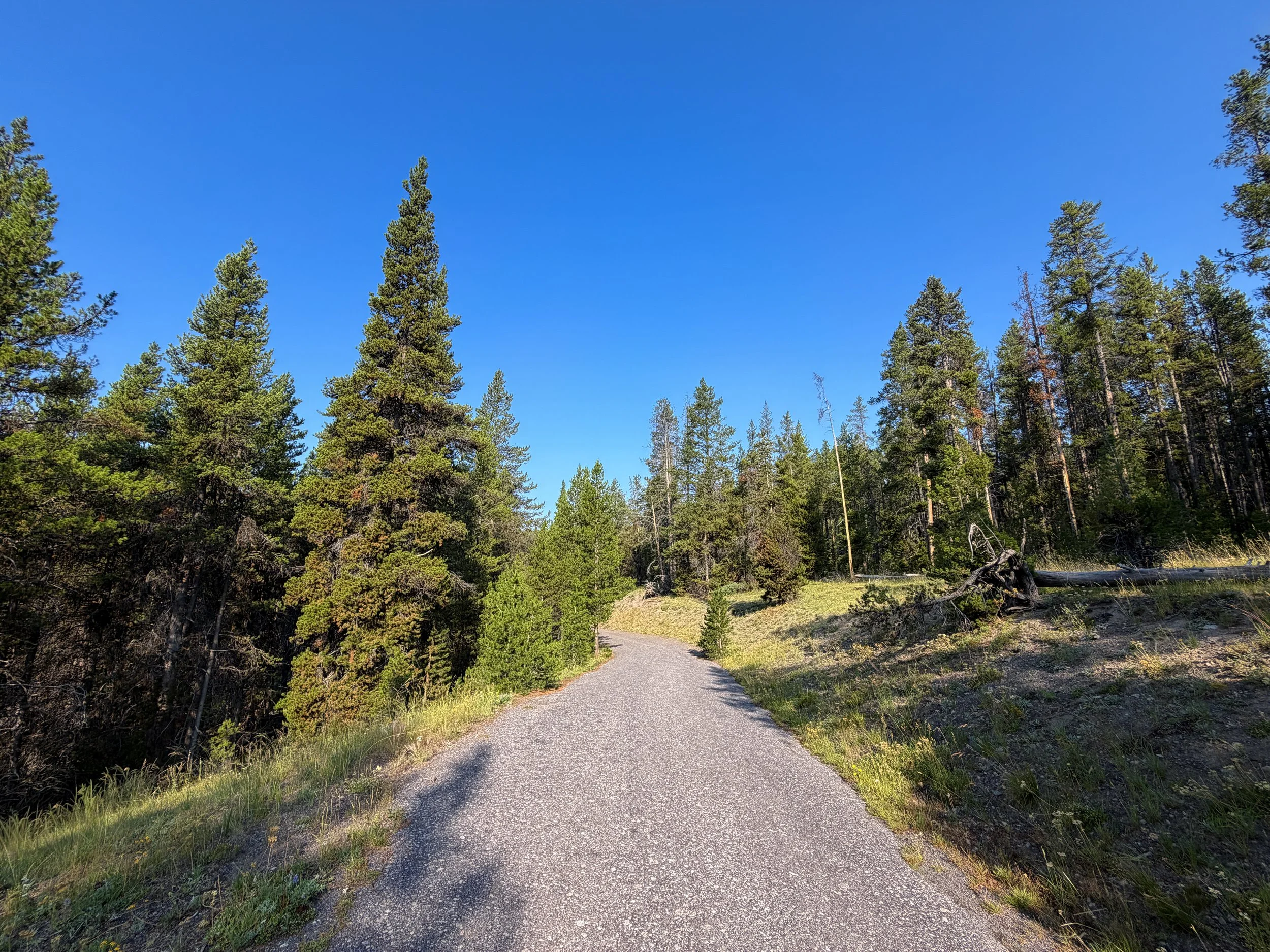 Natural Bridge Hike Yellowstone National Park Wyoming