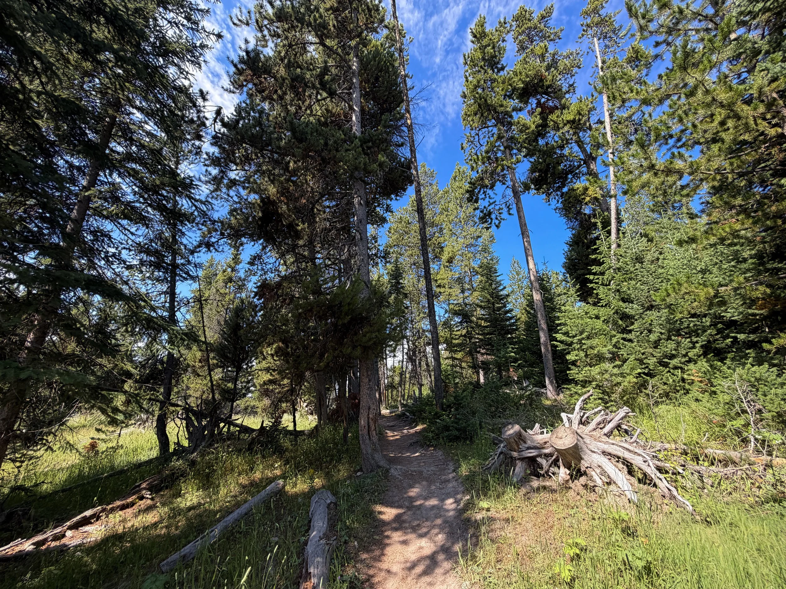 Storm Point Hike Yellowstone National Park Wyoming