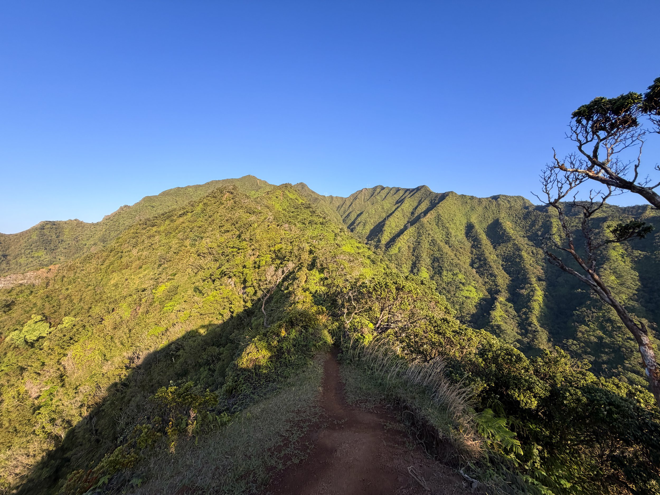 Moanalua Middle Ridge Hike Oahu Hawaii