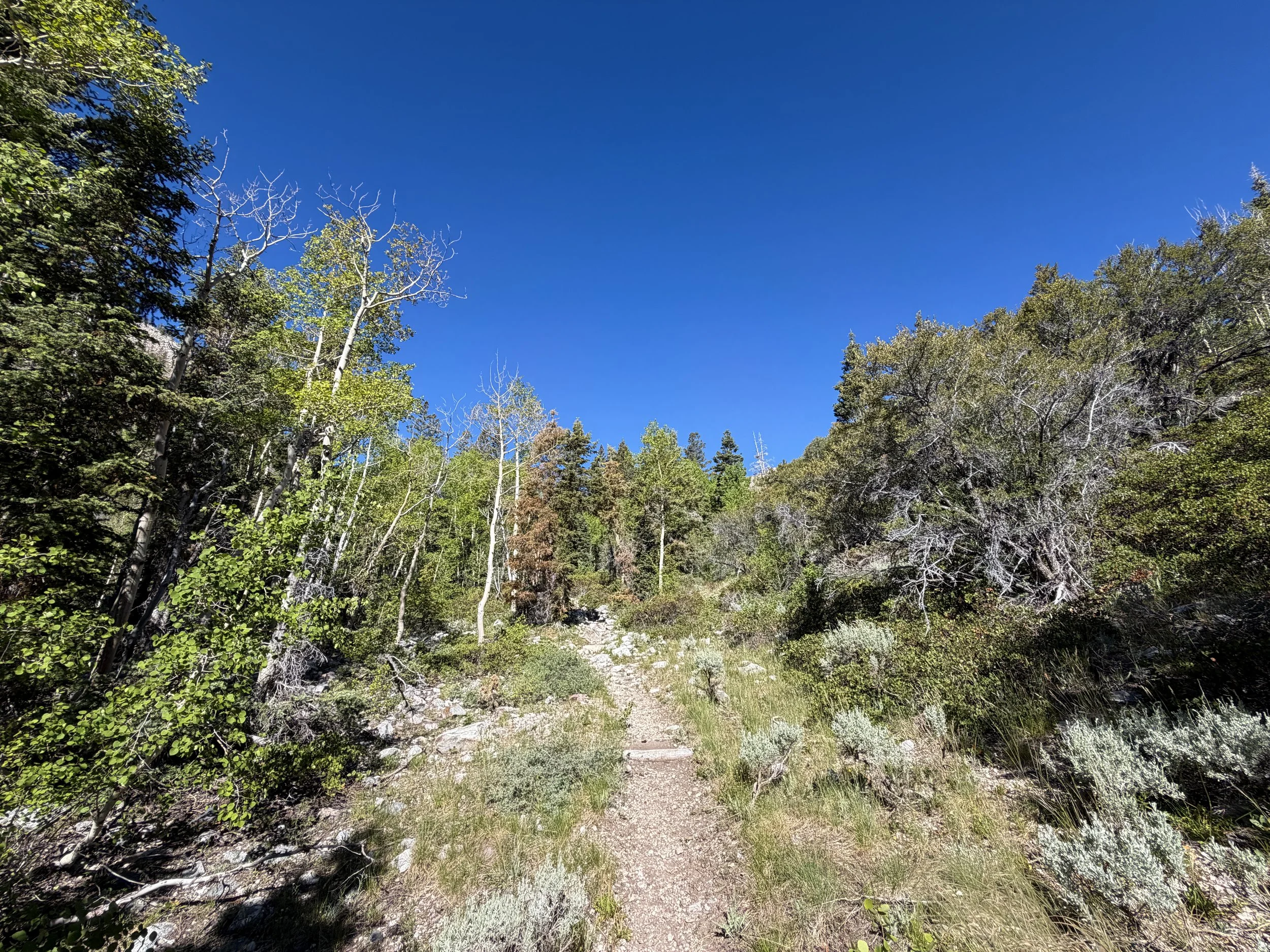 Baker Lake Trail Great Basin National Park Nevada