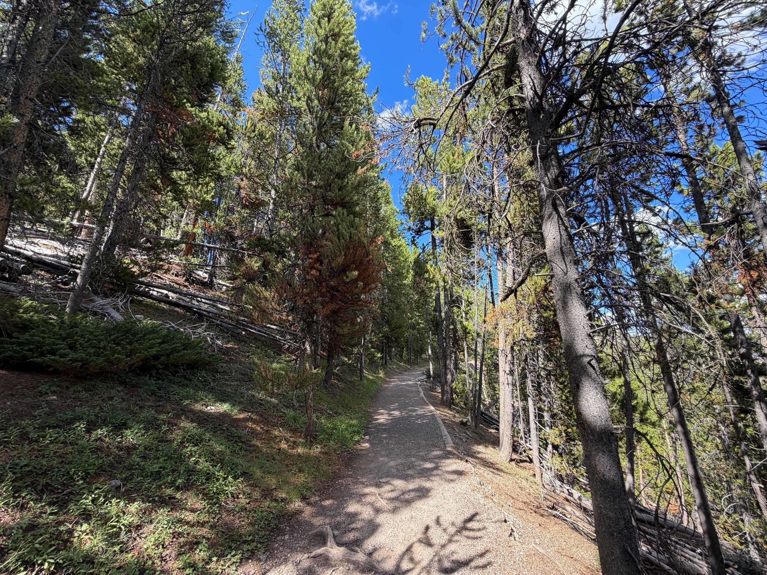 North Rim Hike Yellowstone National Park Wyoming