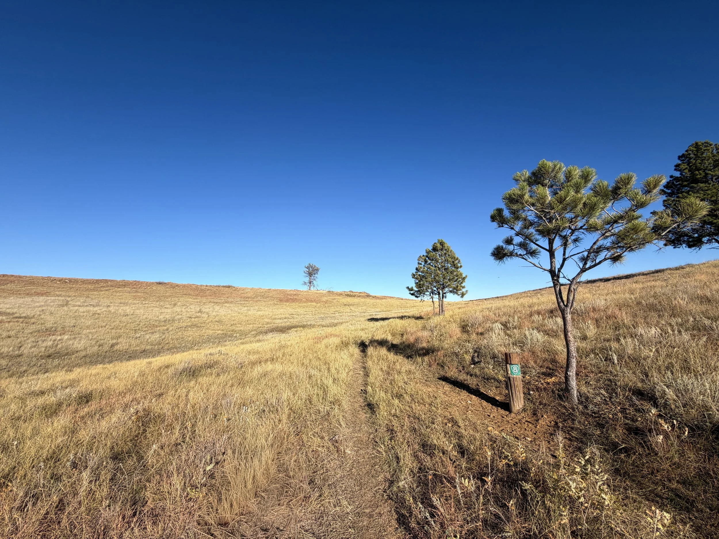 Boland Ridge Hike Wind Cave National Park South Dakota