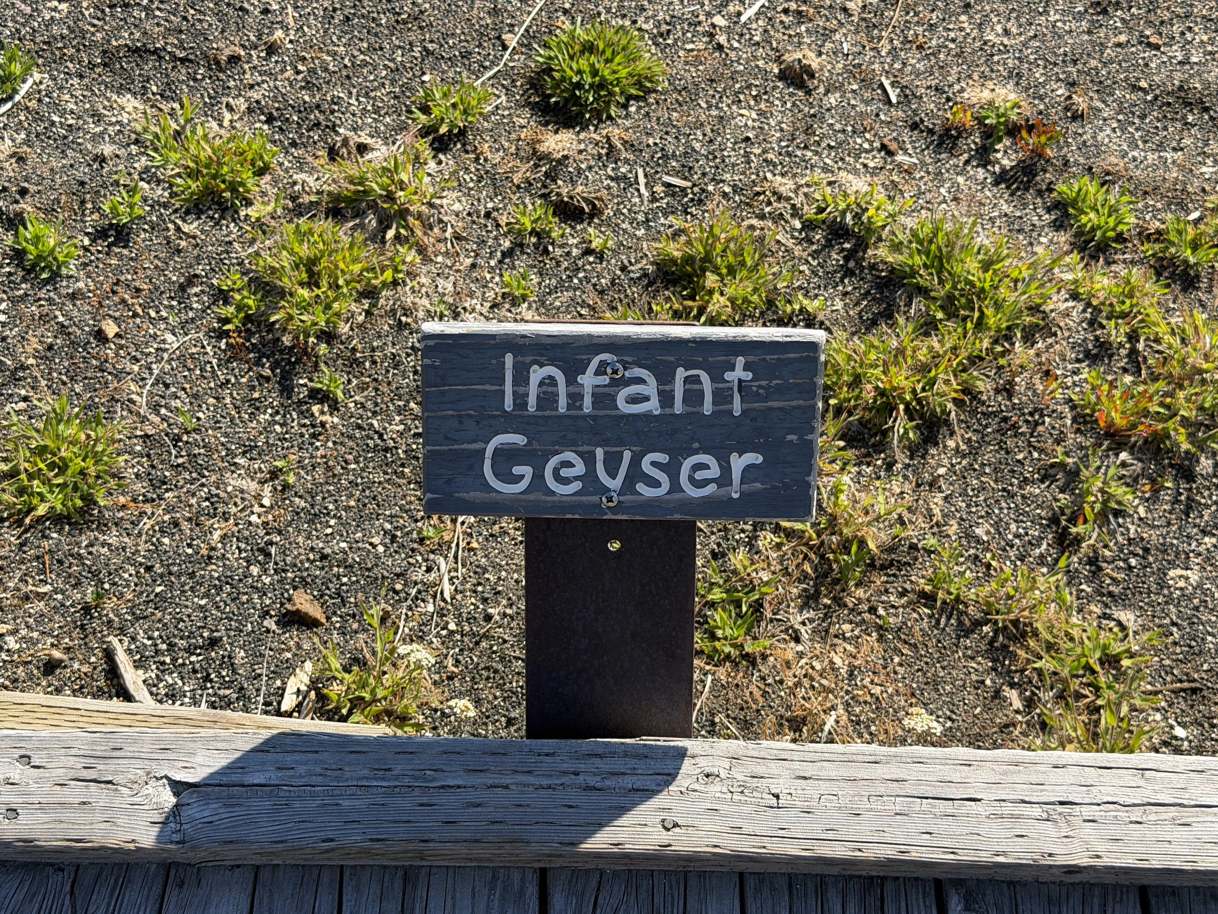 Infant Geyser Yellowstone National Park Wyoming