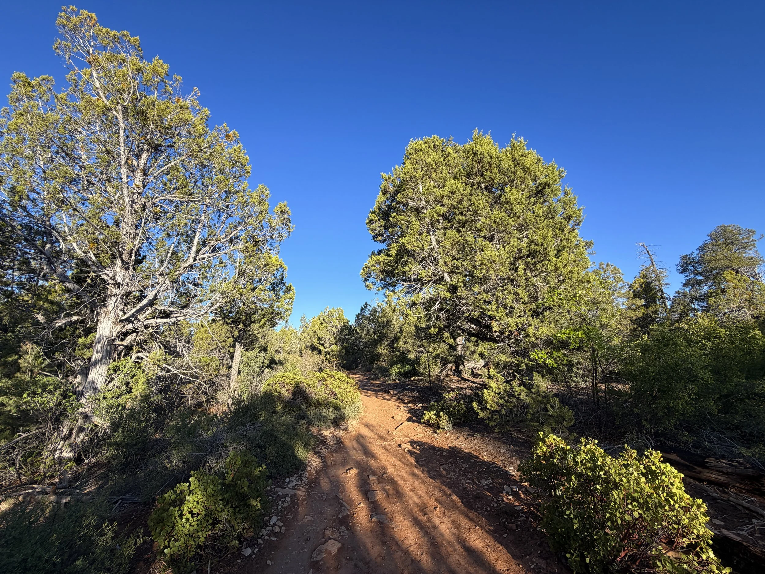 East Mesa Trail to Observation Point Zion National Park Utah