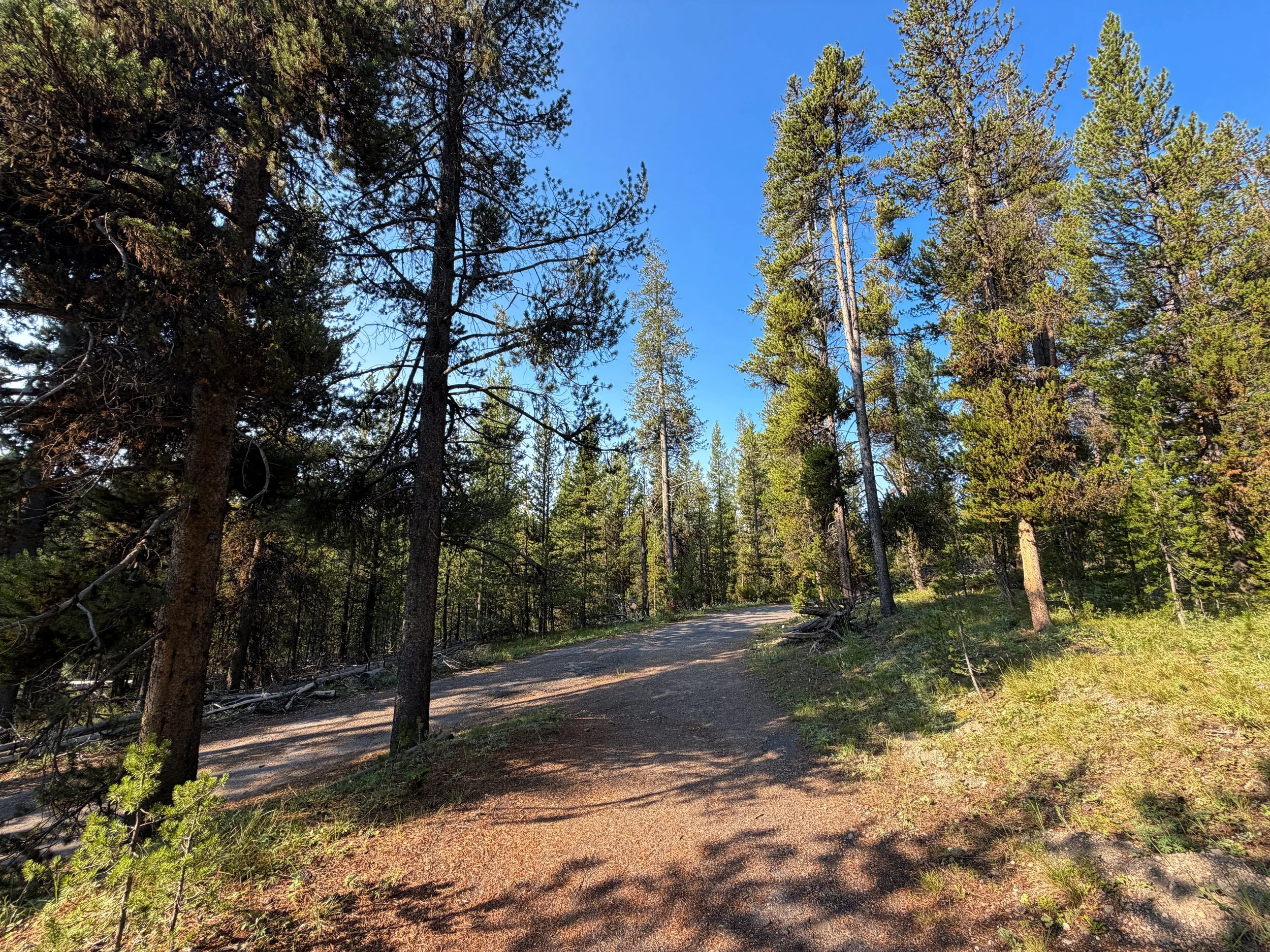 Natural Bridge Hike Yellowstone National Park Wyoming