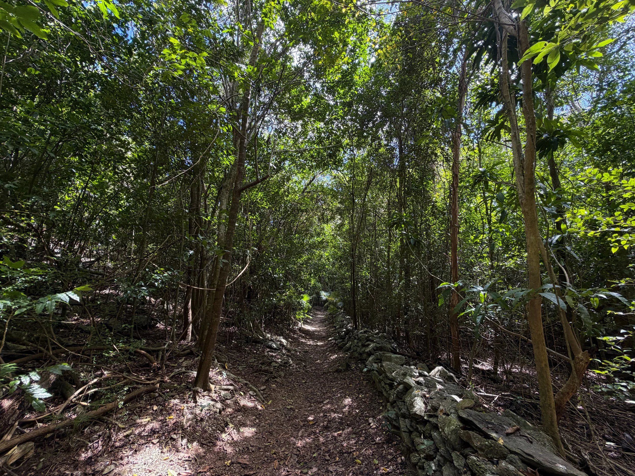 Reef Bay Trail Virgin Islands National Park