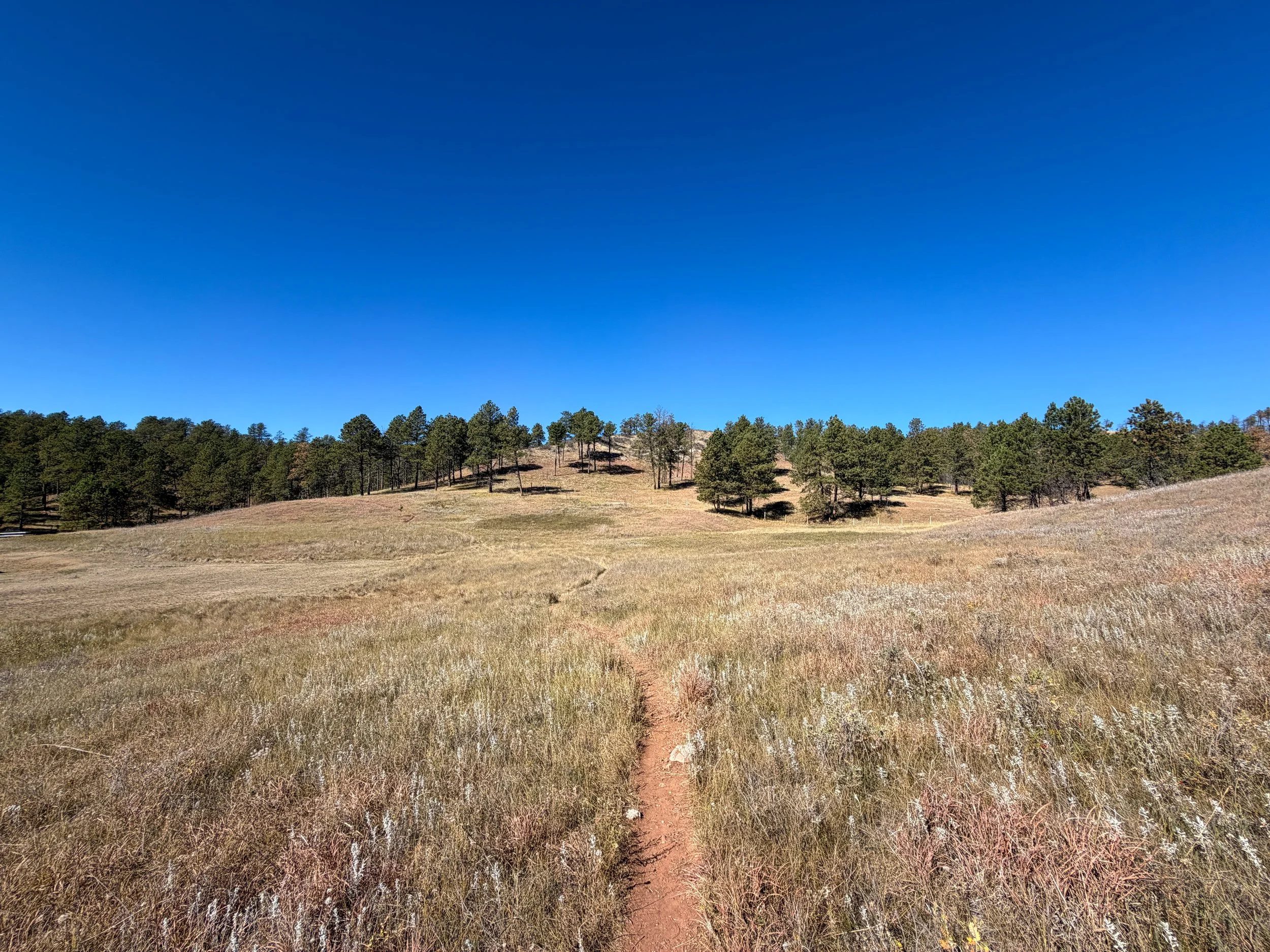 Elk Mountain Nature Loop Trail Wind Cave National Park South Dakota