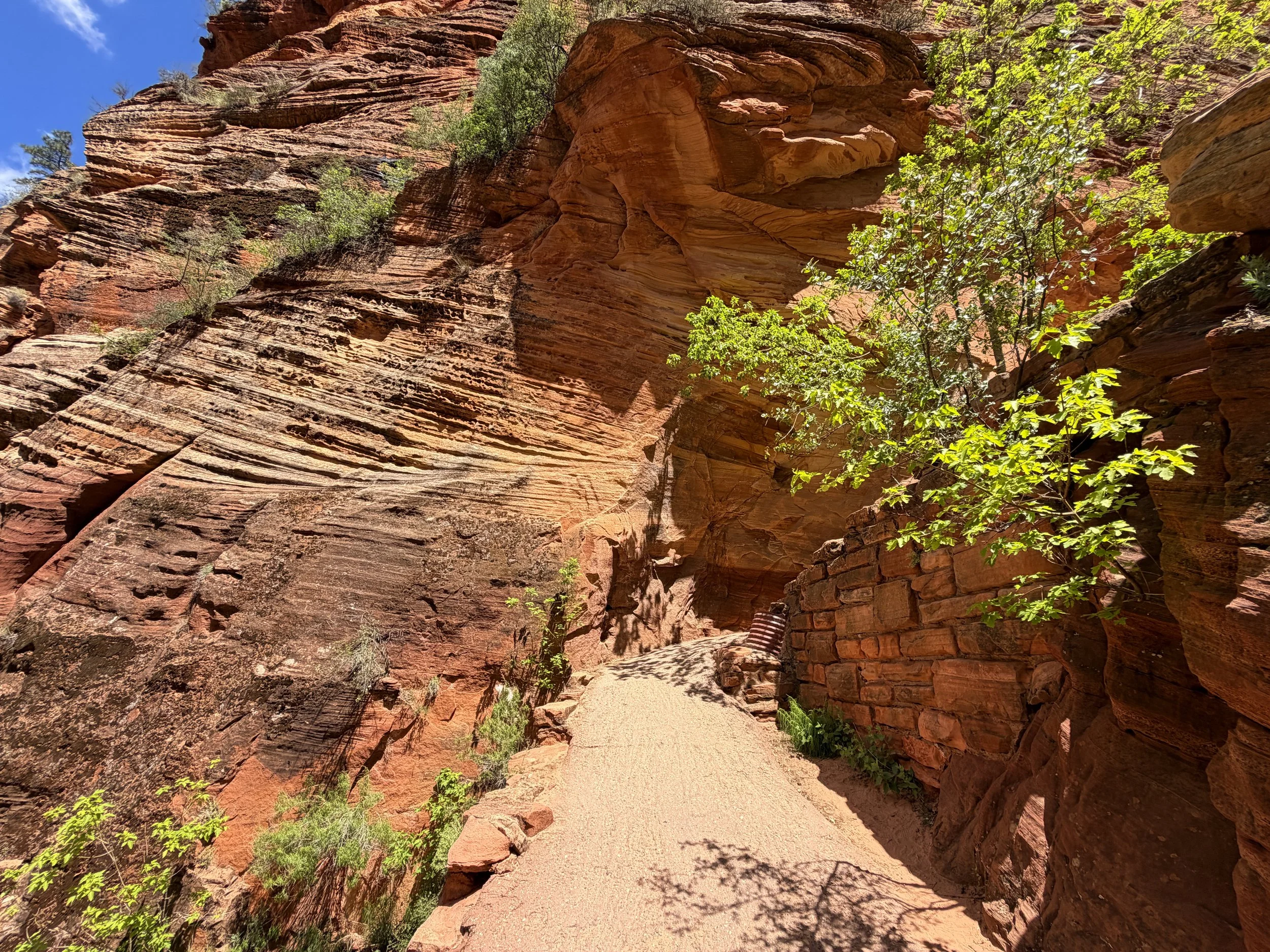 Angels Landing Trail Walters Wiggles Zion National Park Utah