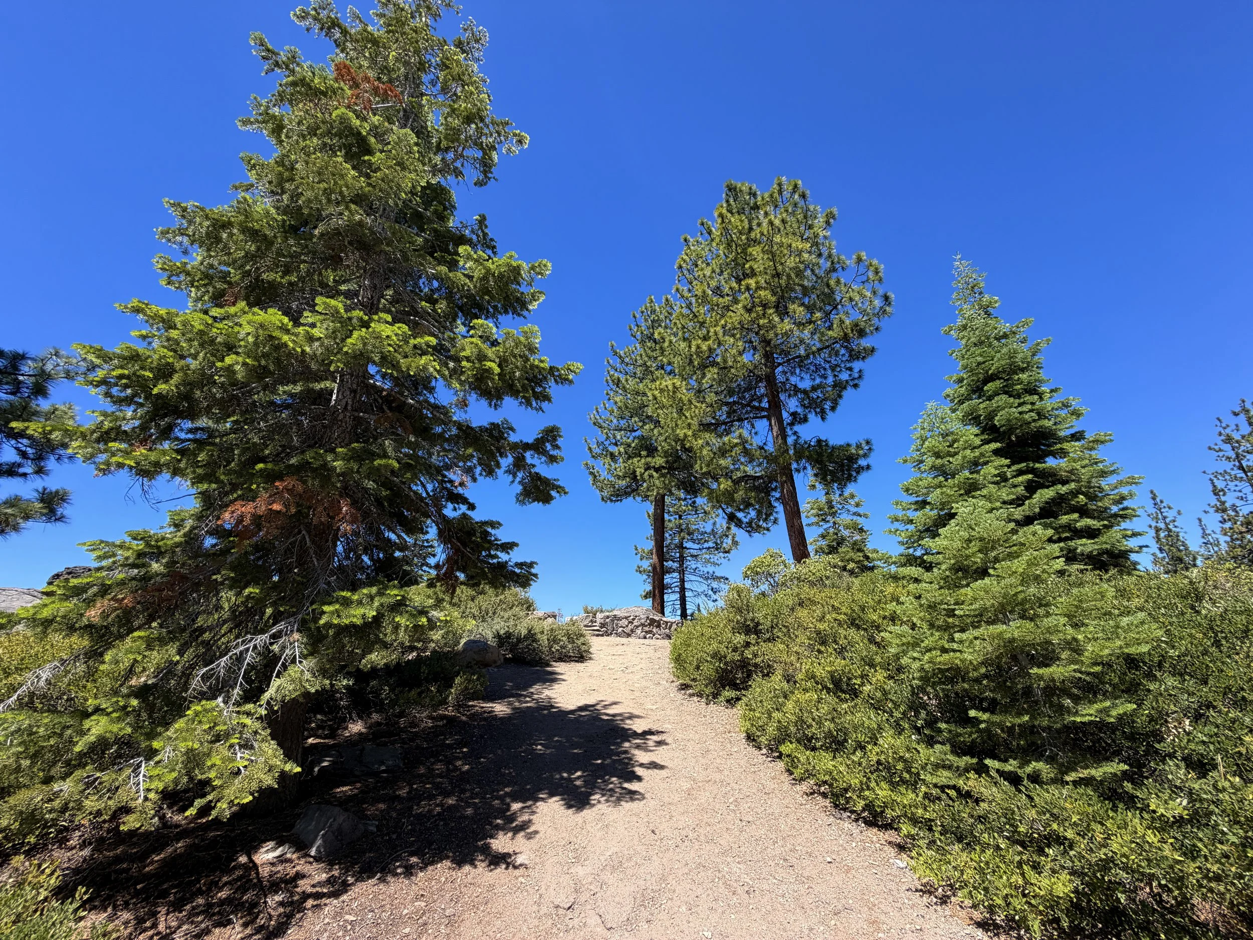 Stateline Lookout Trail Lake Tahoe California