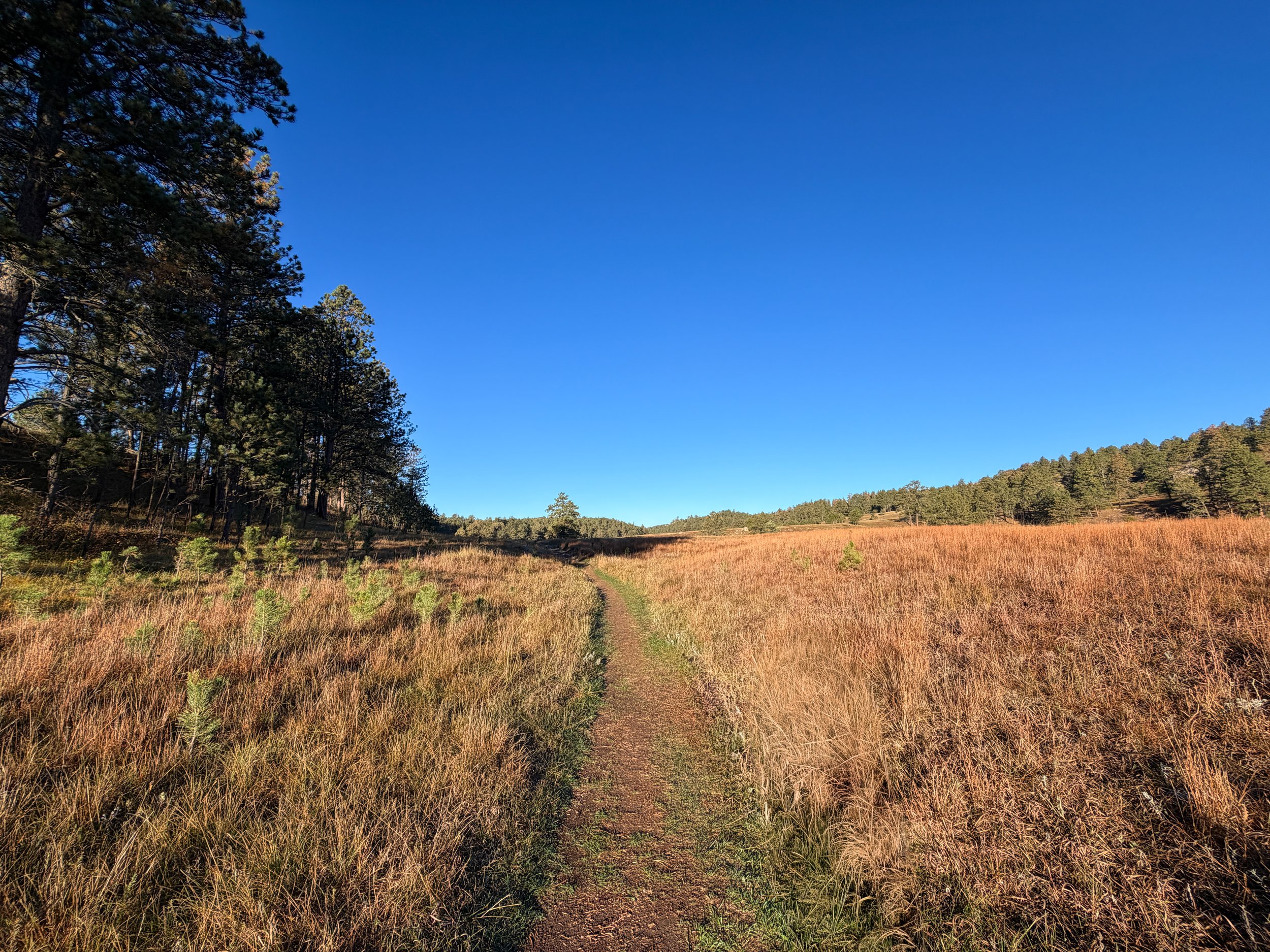 Cold Brook Canyon Trail Wind Cave National Park South Dakota