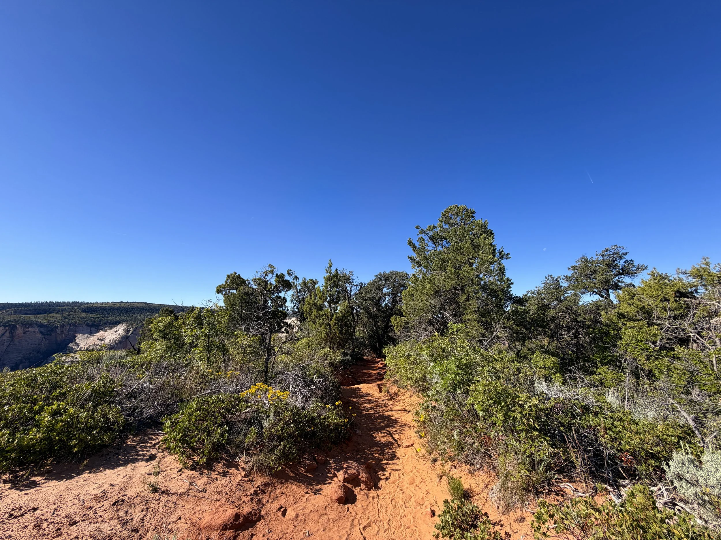 Observation Point Trail Zion National Park Utah