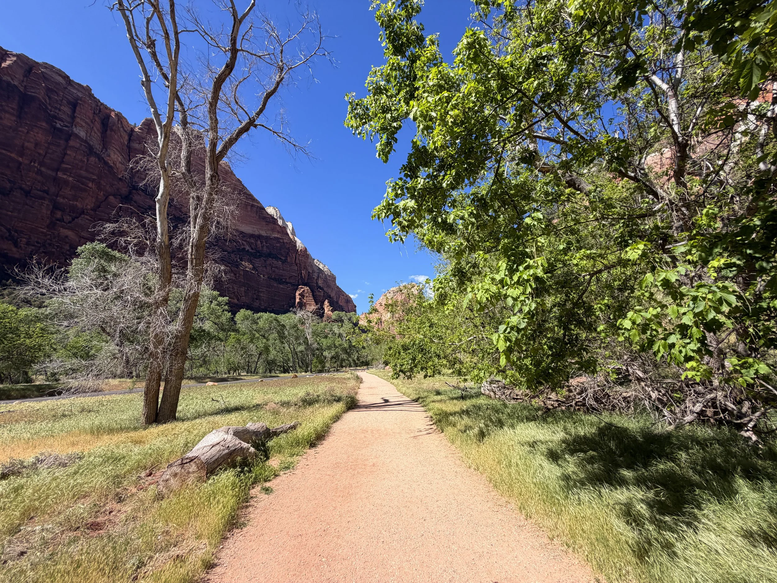 Grotto Trail Zion National Park Utah