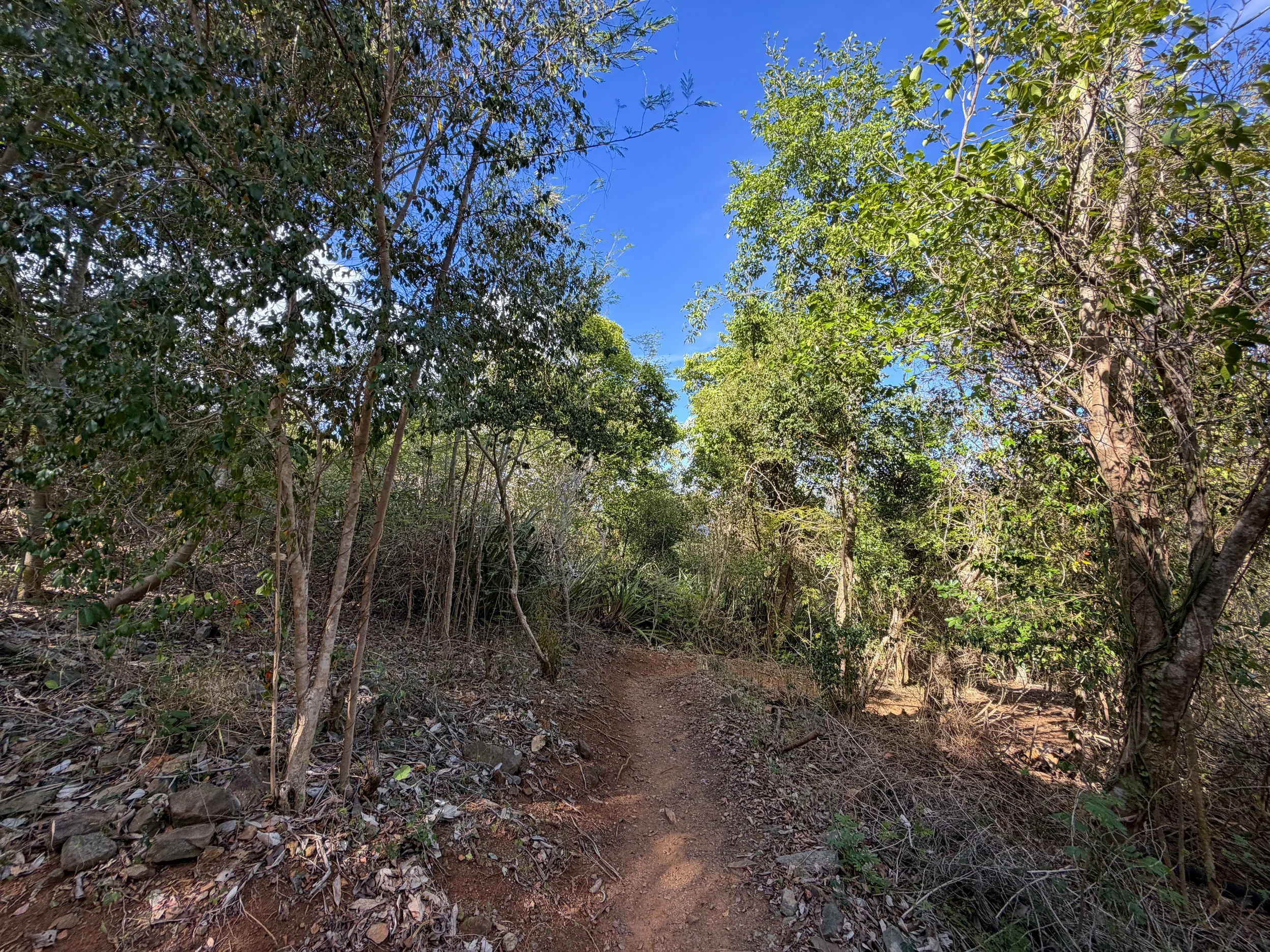 Denis Bay Trail Virgin Islands National Park