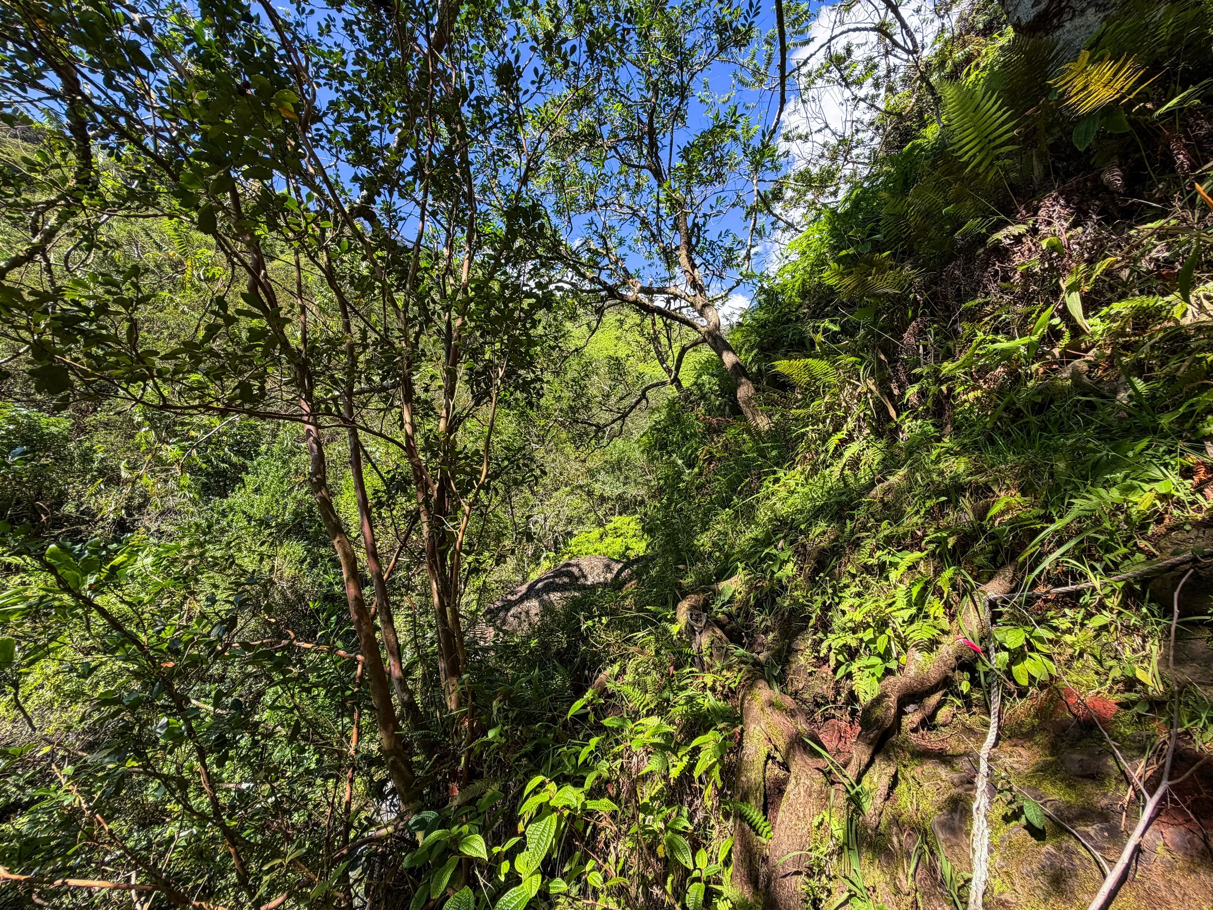 Top of Second Waterfall Kaau Crater Trail Oahu Hawaii