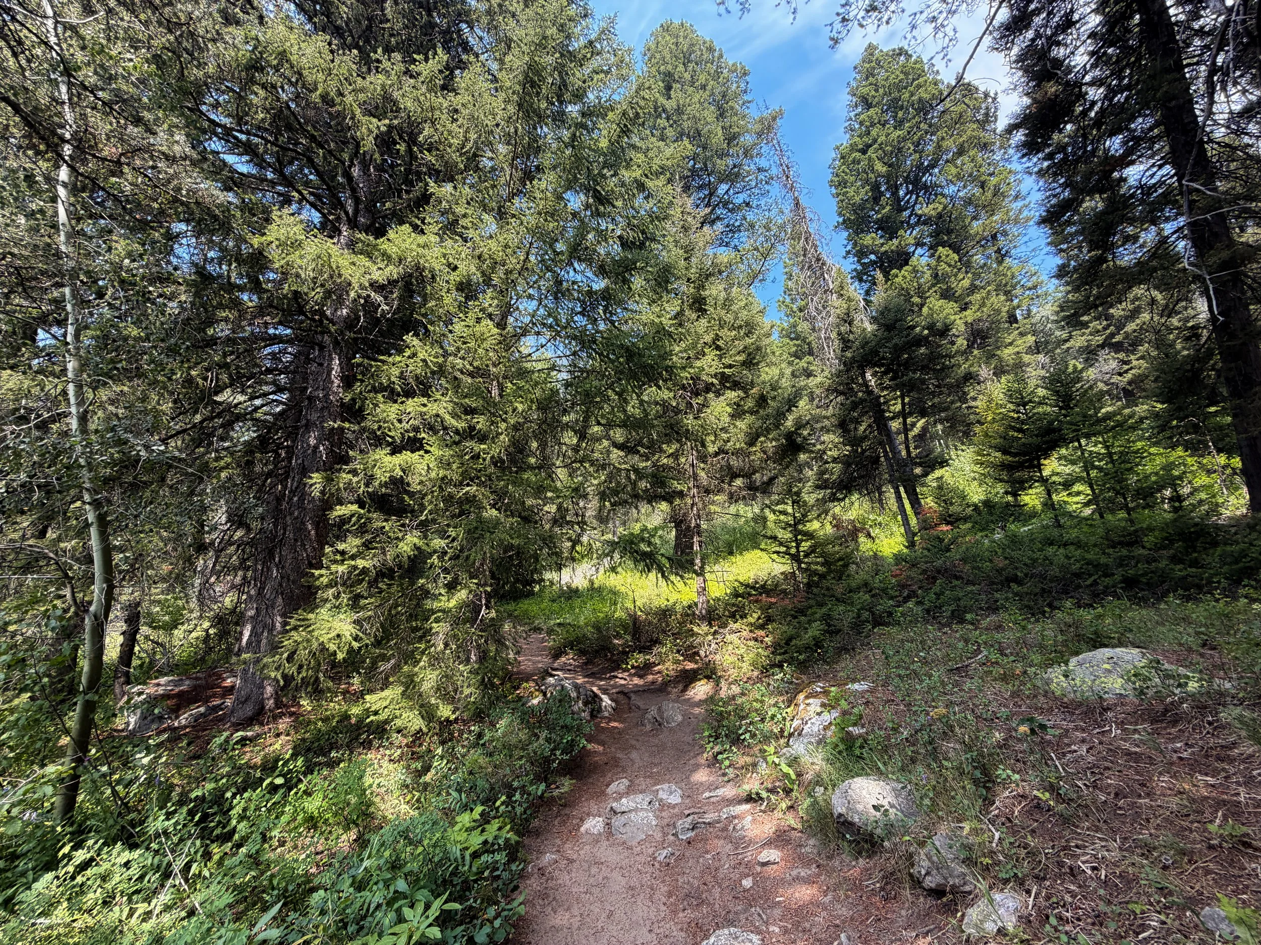 Phelps Lake Loop Trail Grand Teton National Park Wyoming