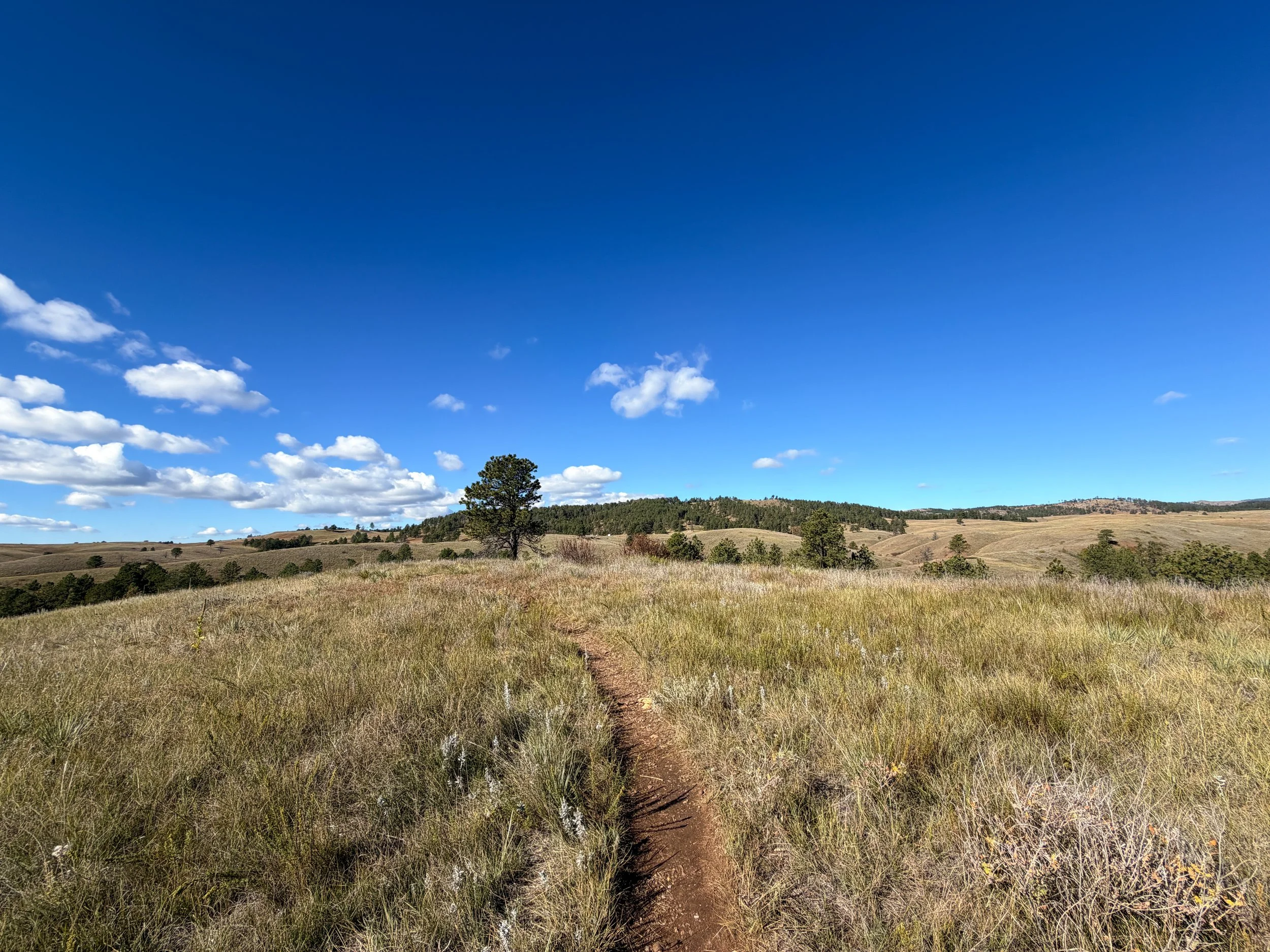 Prairie Vista Loop Trail Wind Cave National Park South Dakota