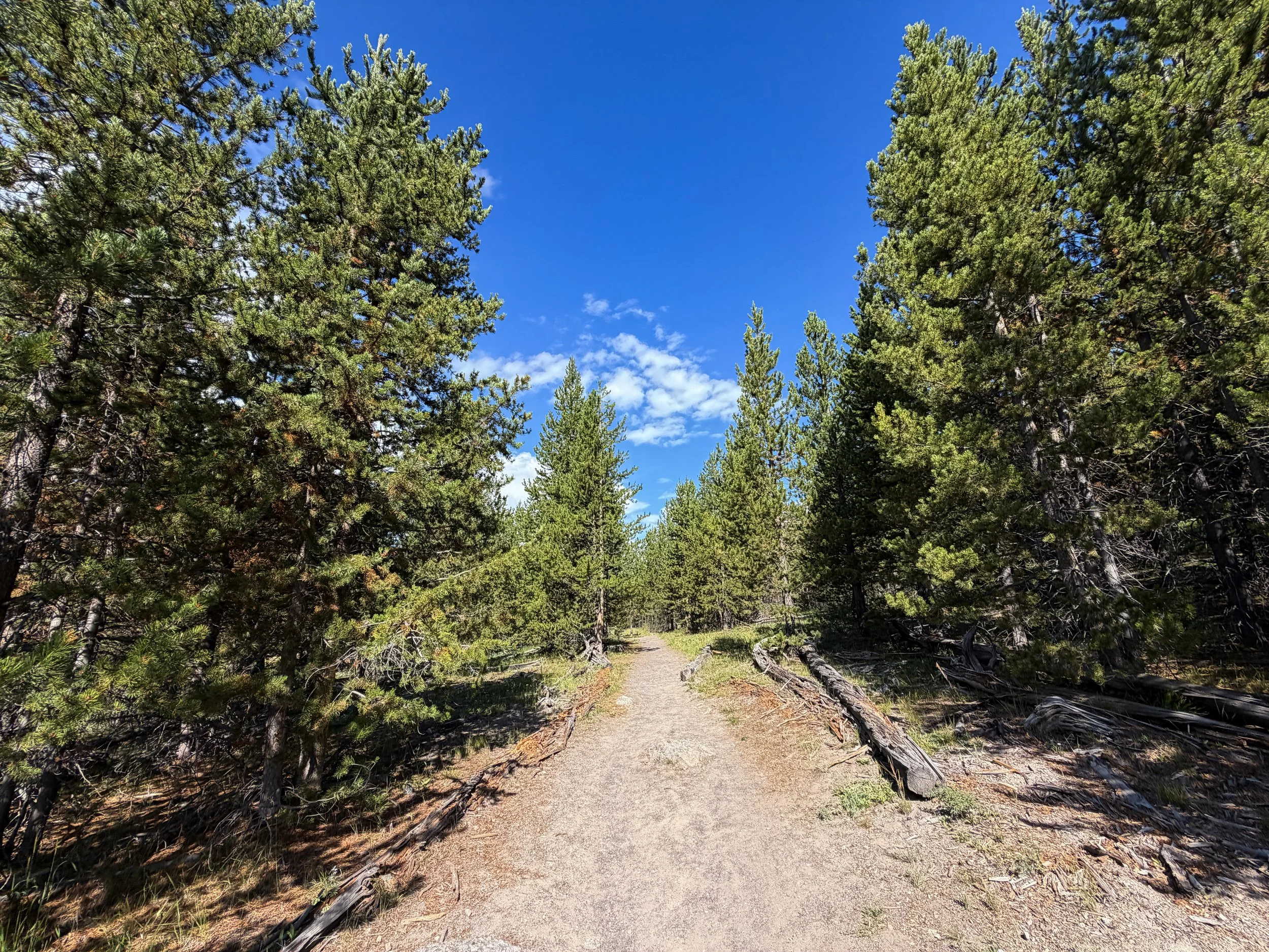 Imperial Geyser Trail Yellowstone National Park Wyoming