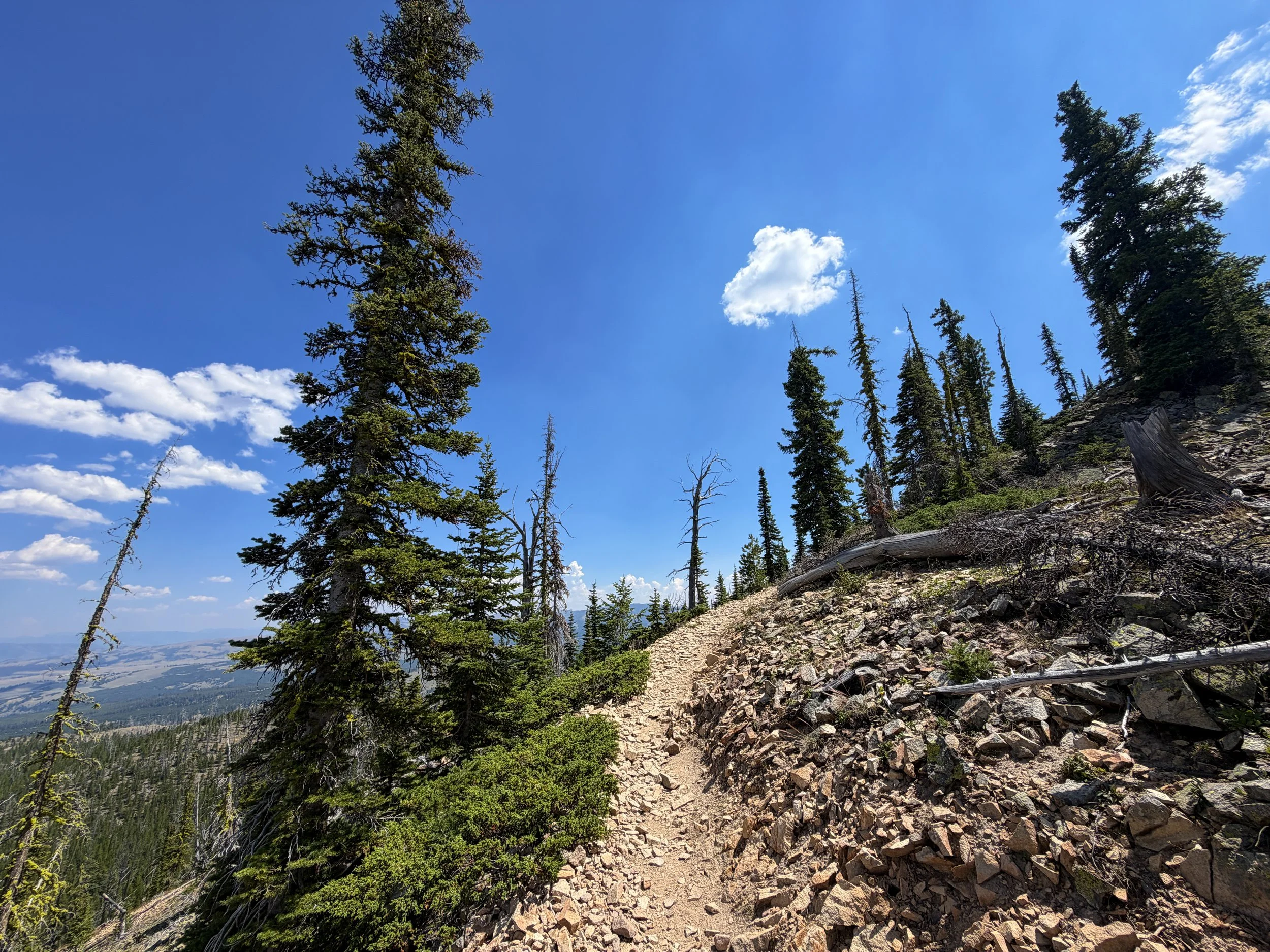 Bunsen Peak Trail Yellowstone National Park Wyoming